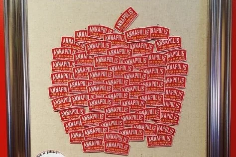 annapolis patches.JPG