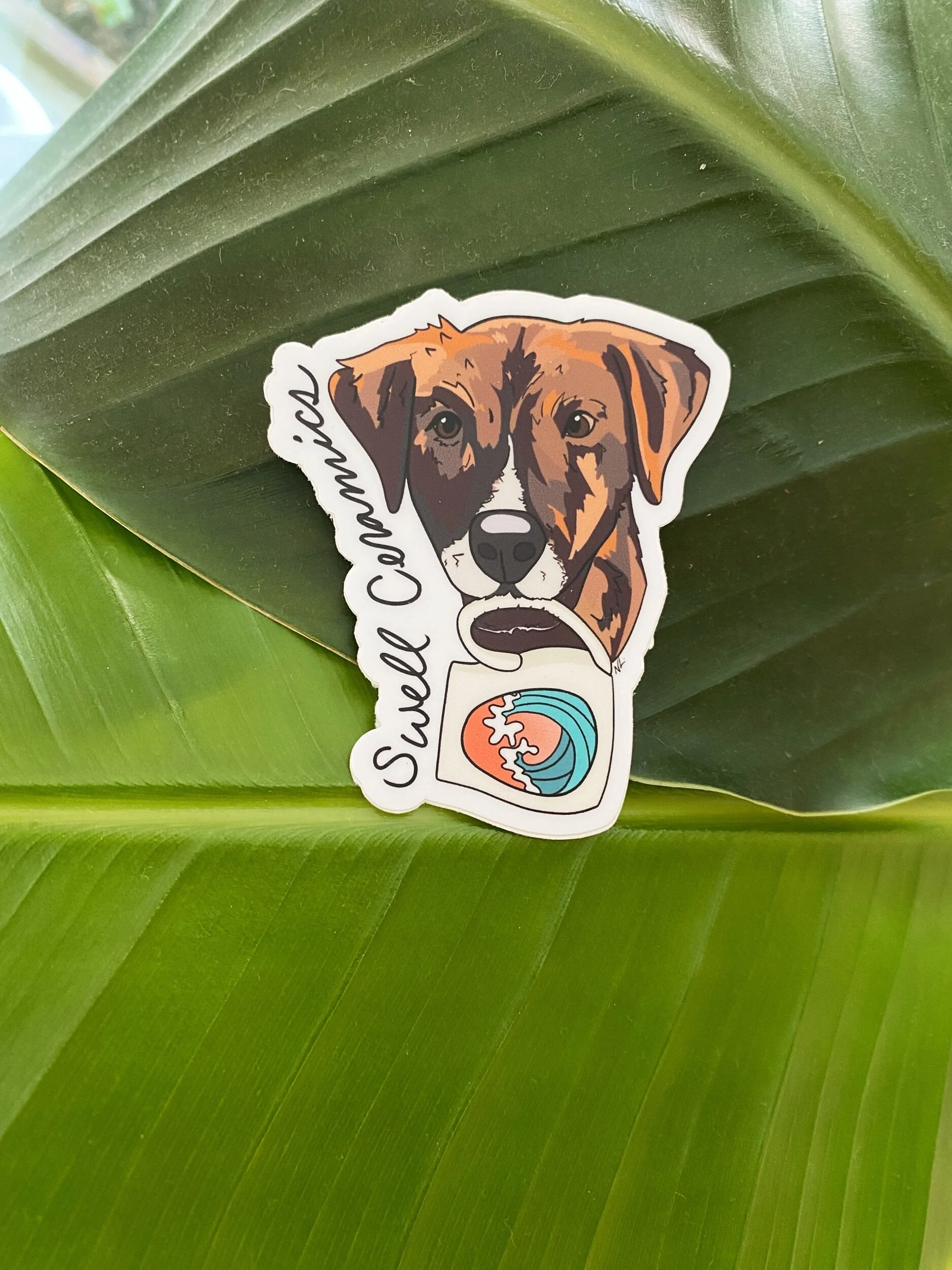 D6A4A980-C7CF-4A82-ABA8-4400B3618D51