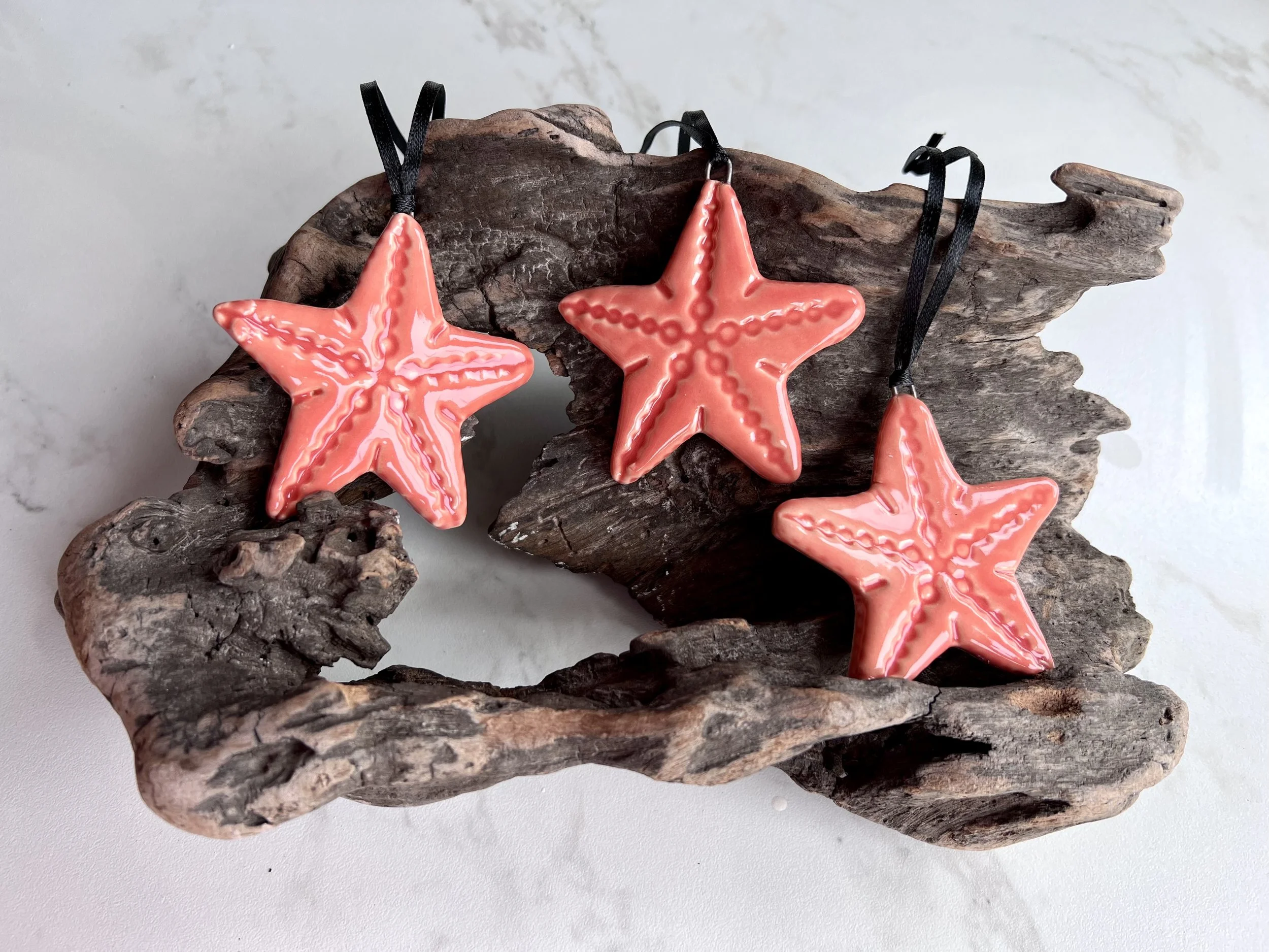 orange starfish 2022.jpg