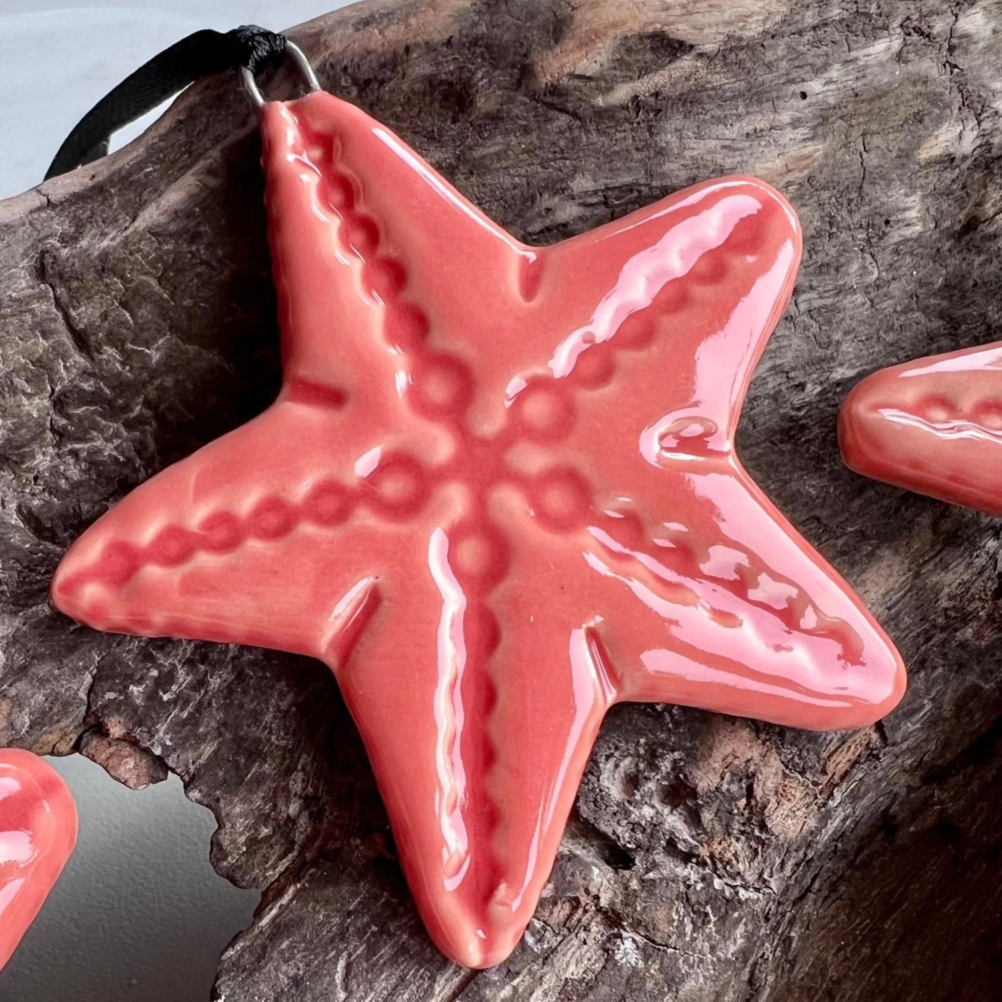 orange%25252Bstarfish%25252B2022%25252B2.jpg