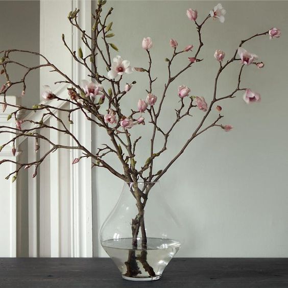 Pink magnolia.