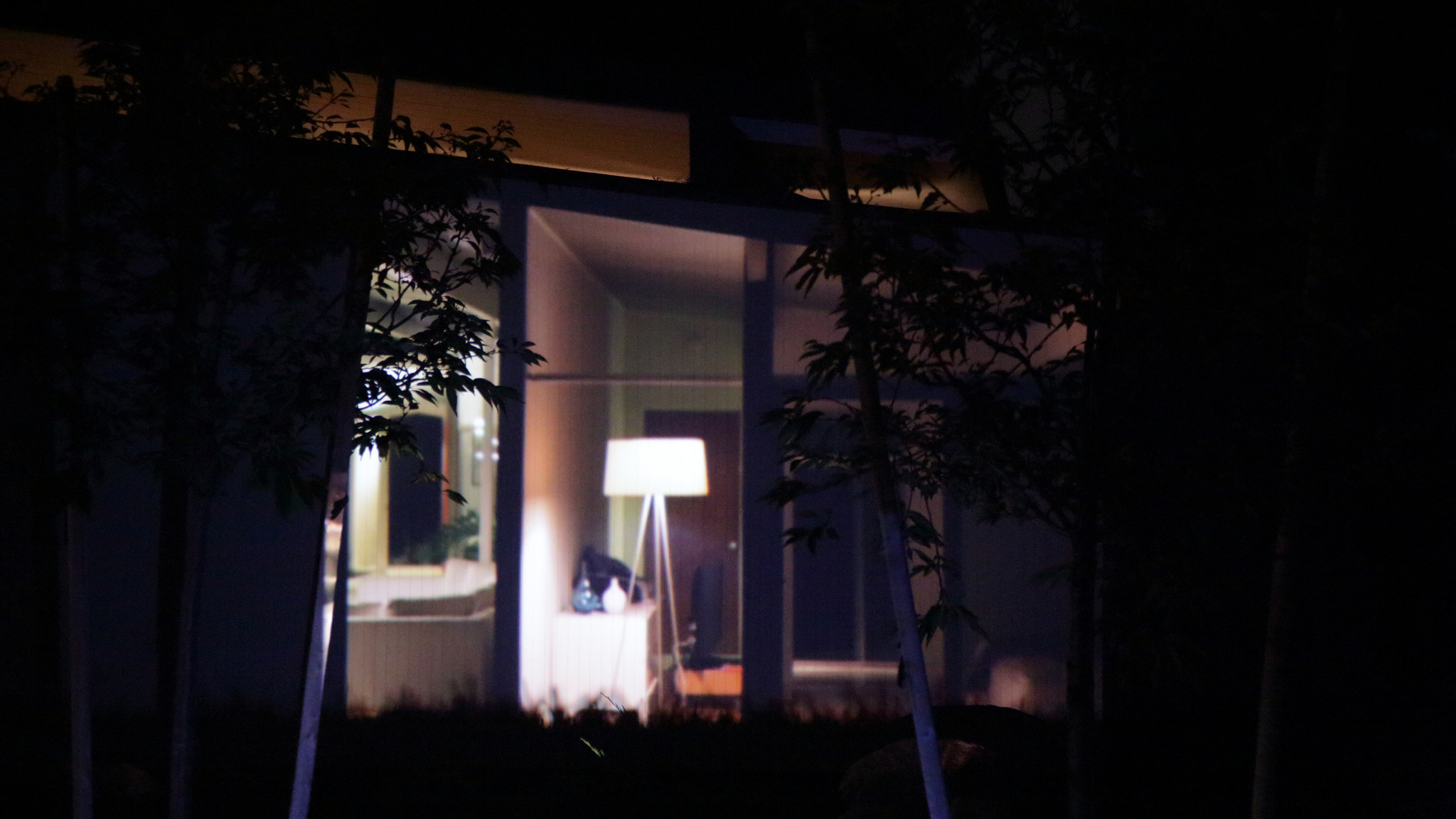 &nbsp;click on the image to find more photos by &nbsp;Emily Lacy,&nbsp;Machine Project&nbsp;