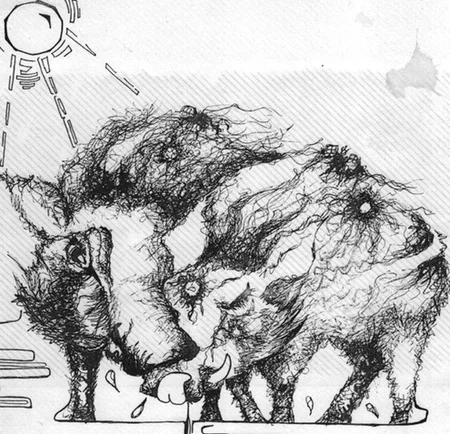 warthogs1.jpg