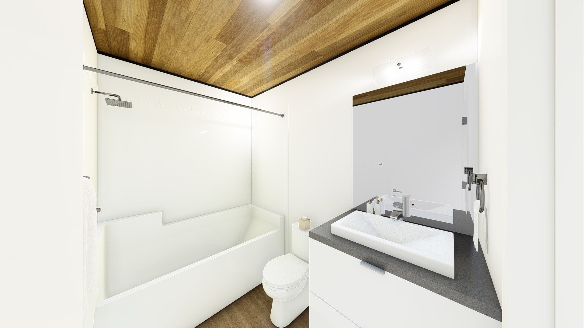 HO4 Interior - Option 1 - BATH.jpg