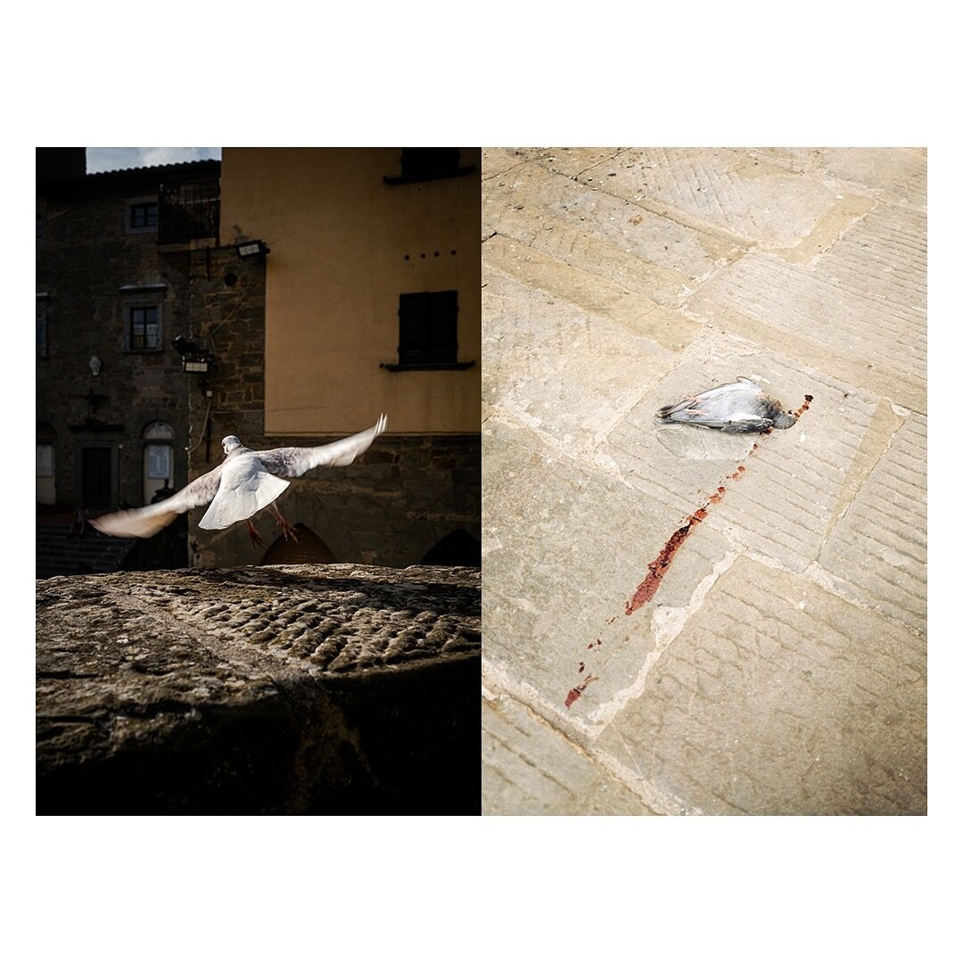 There&rsquo;s a metaphor here, about freedom, personal responsibility, Icarus. Excerpts from BASTA!!. See the rest in the book. Link in bio. Shot on #fujix100v #streetphotographers #photobook