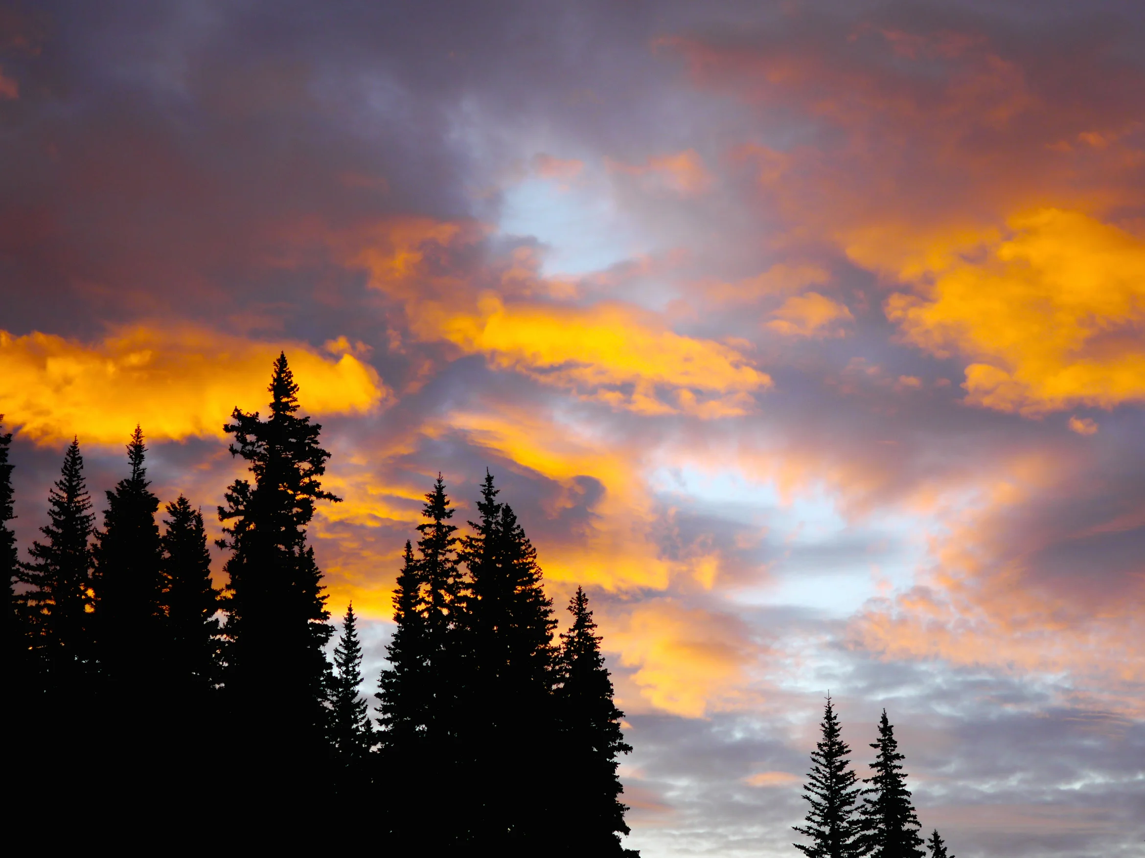 fiery sunrise.jpg