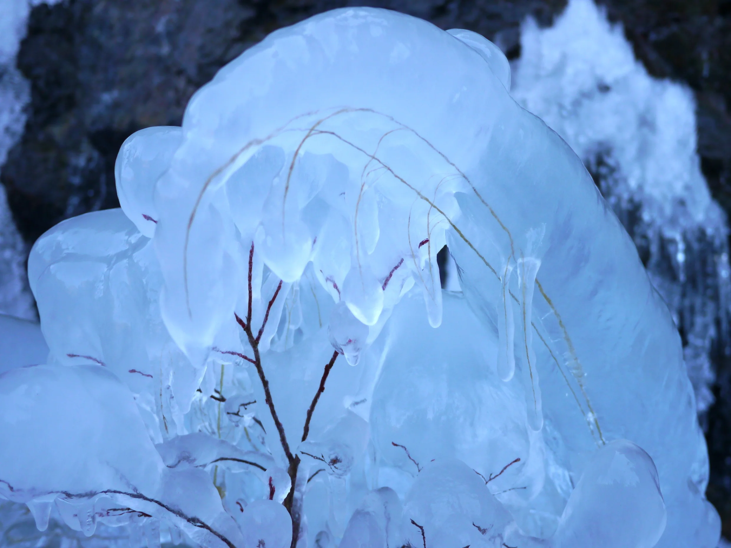 Frozen in Time.jpg