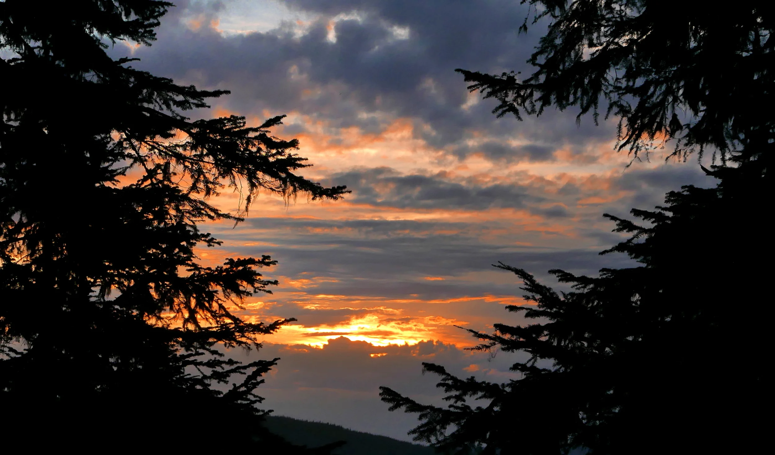 sunset on the trail copy.jpg