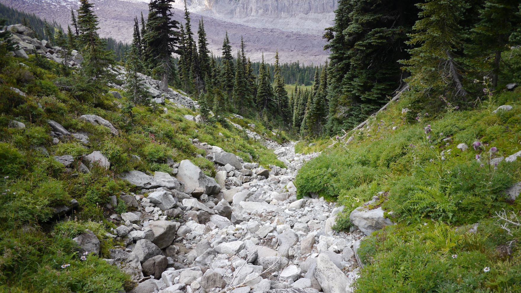 gully for scramble down to the Wonderland Trail, Carbon Glacier visible top of frame