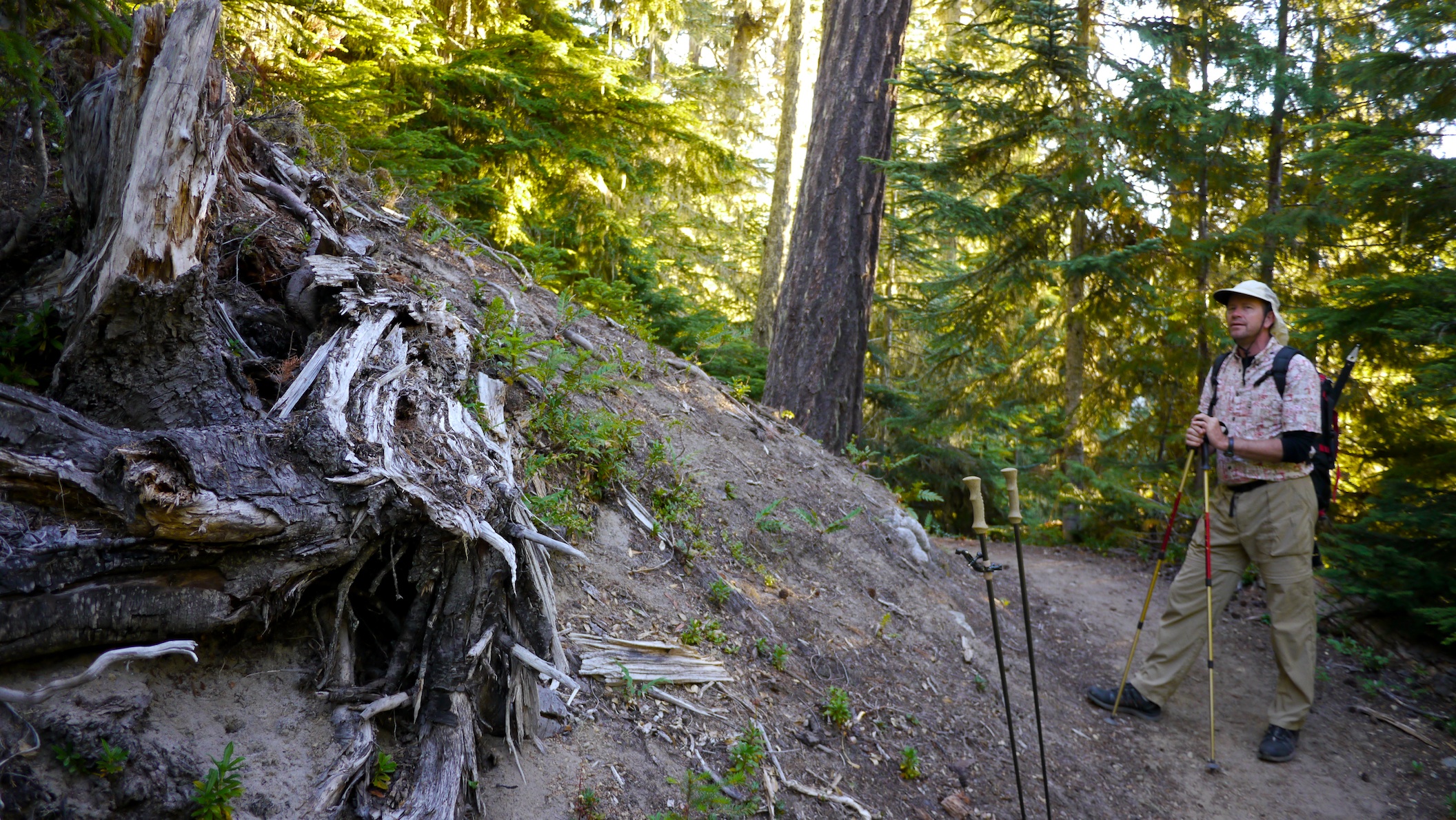 start of off trail portion
