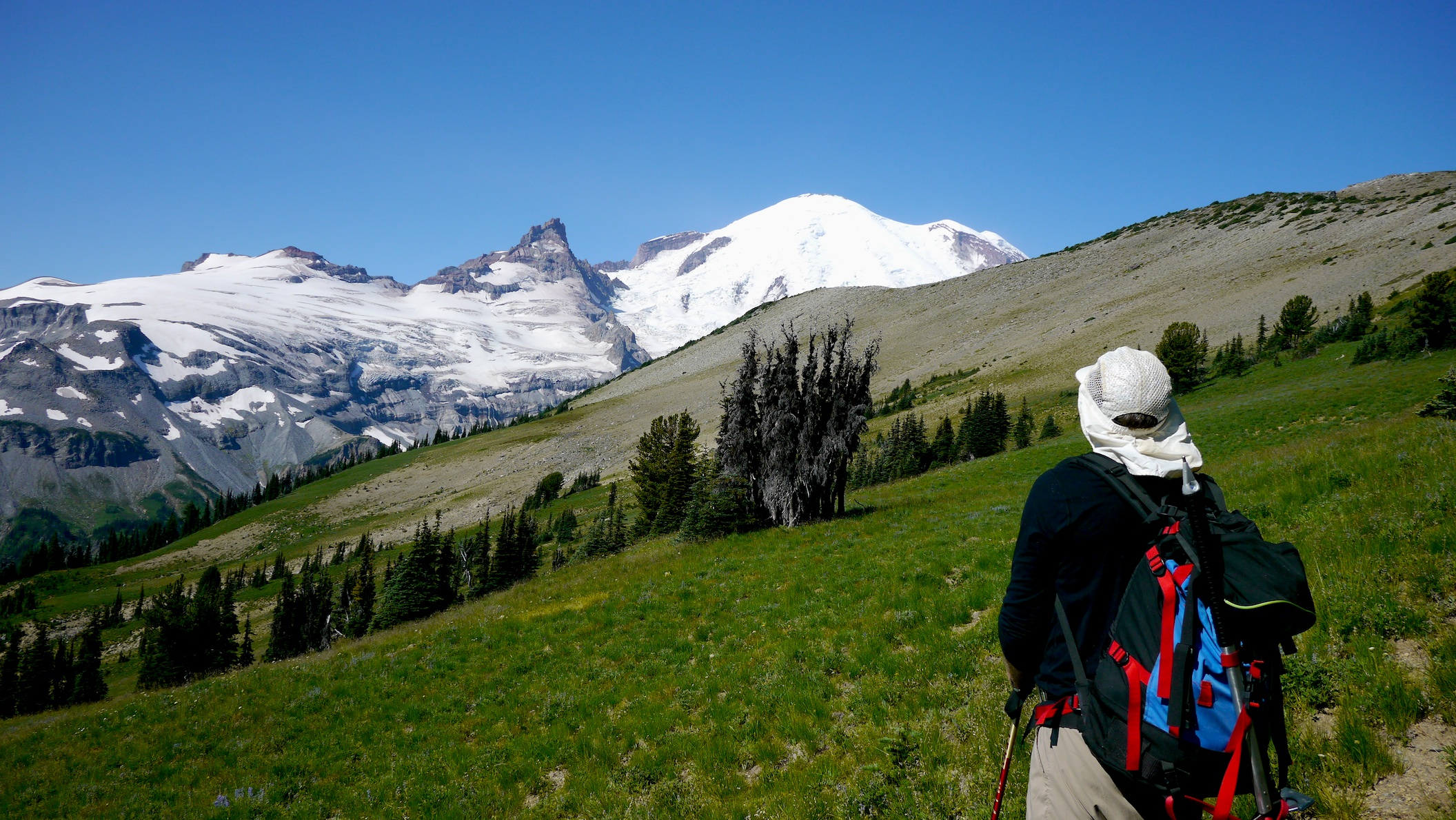large meadow below Goat Island summit