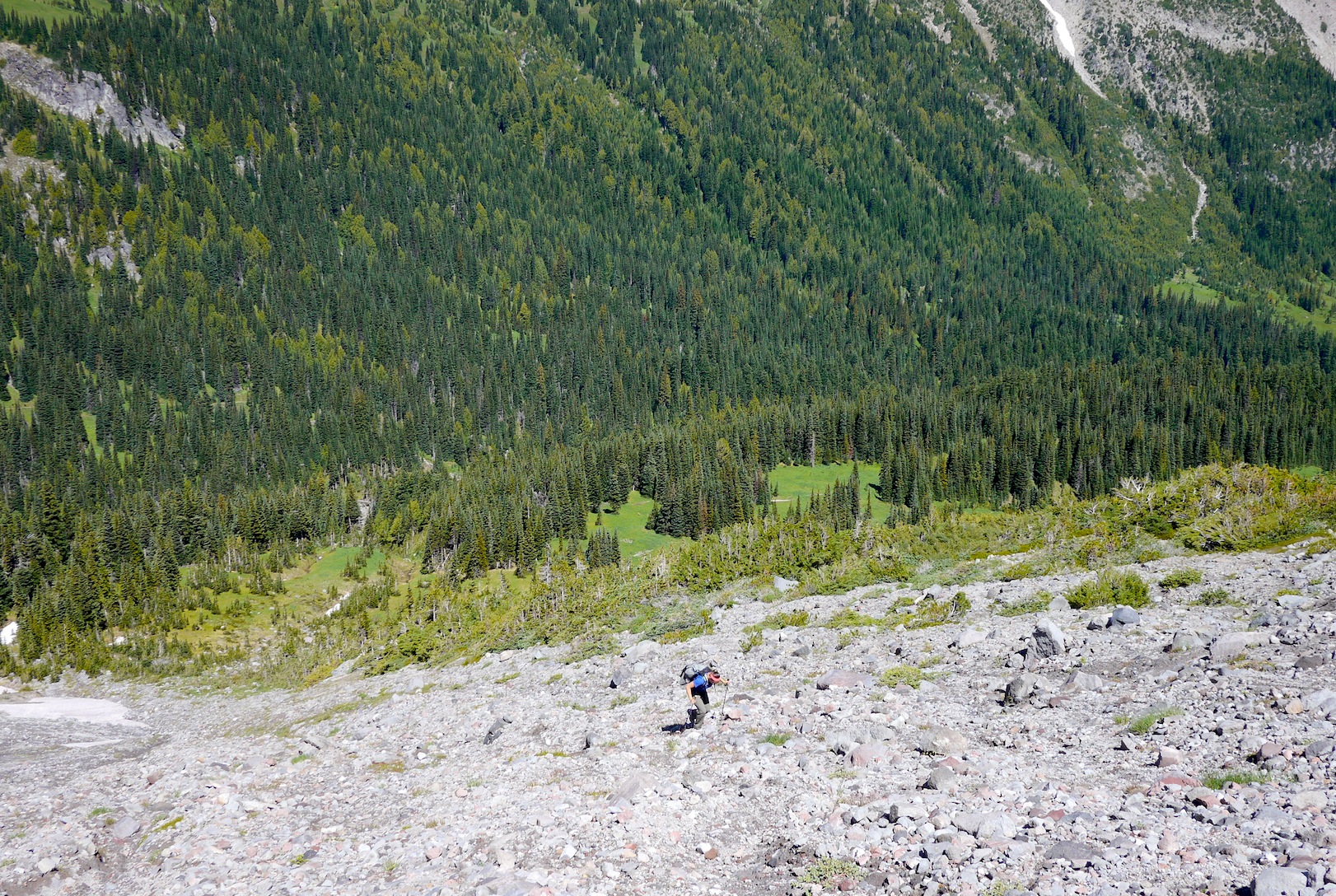 Cassie works her way up to the ridge to access Mt. Ruth