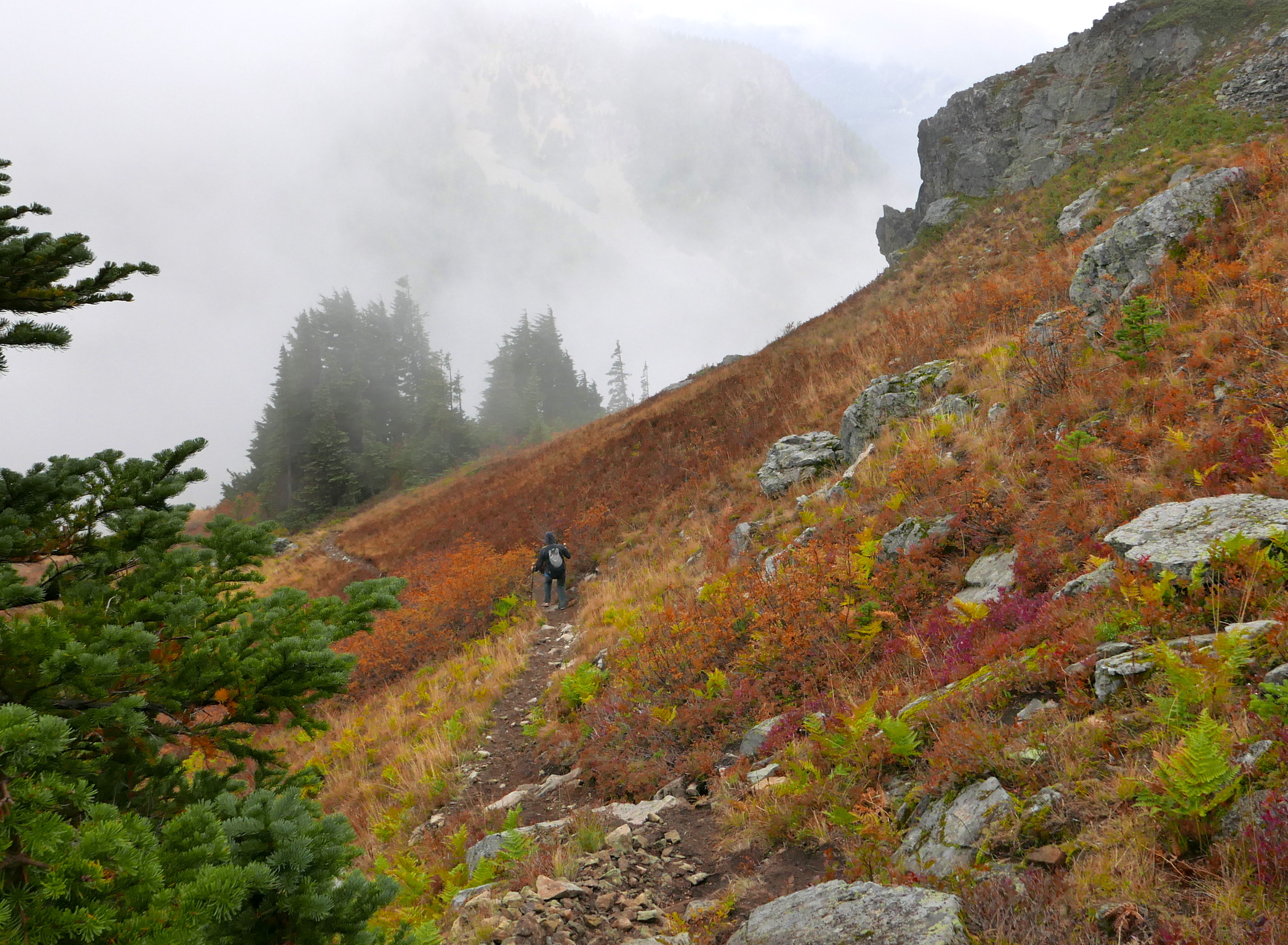 fall colors below Alta Mountain
