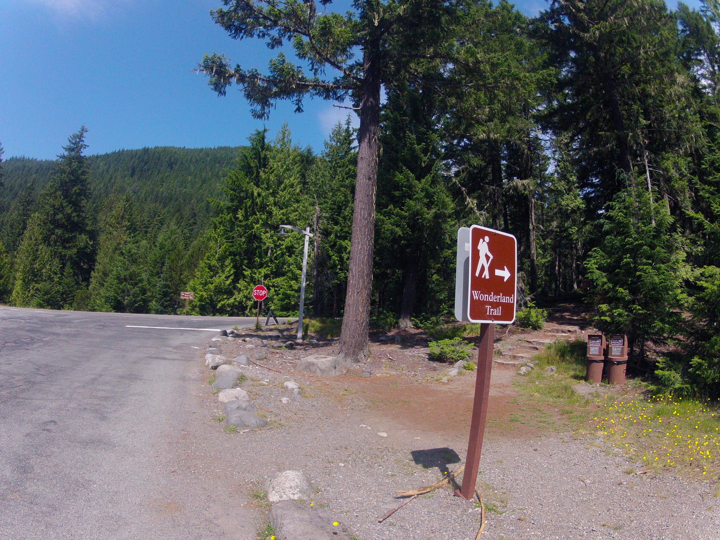 trail beginnings at Longmire