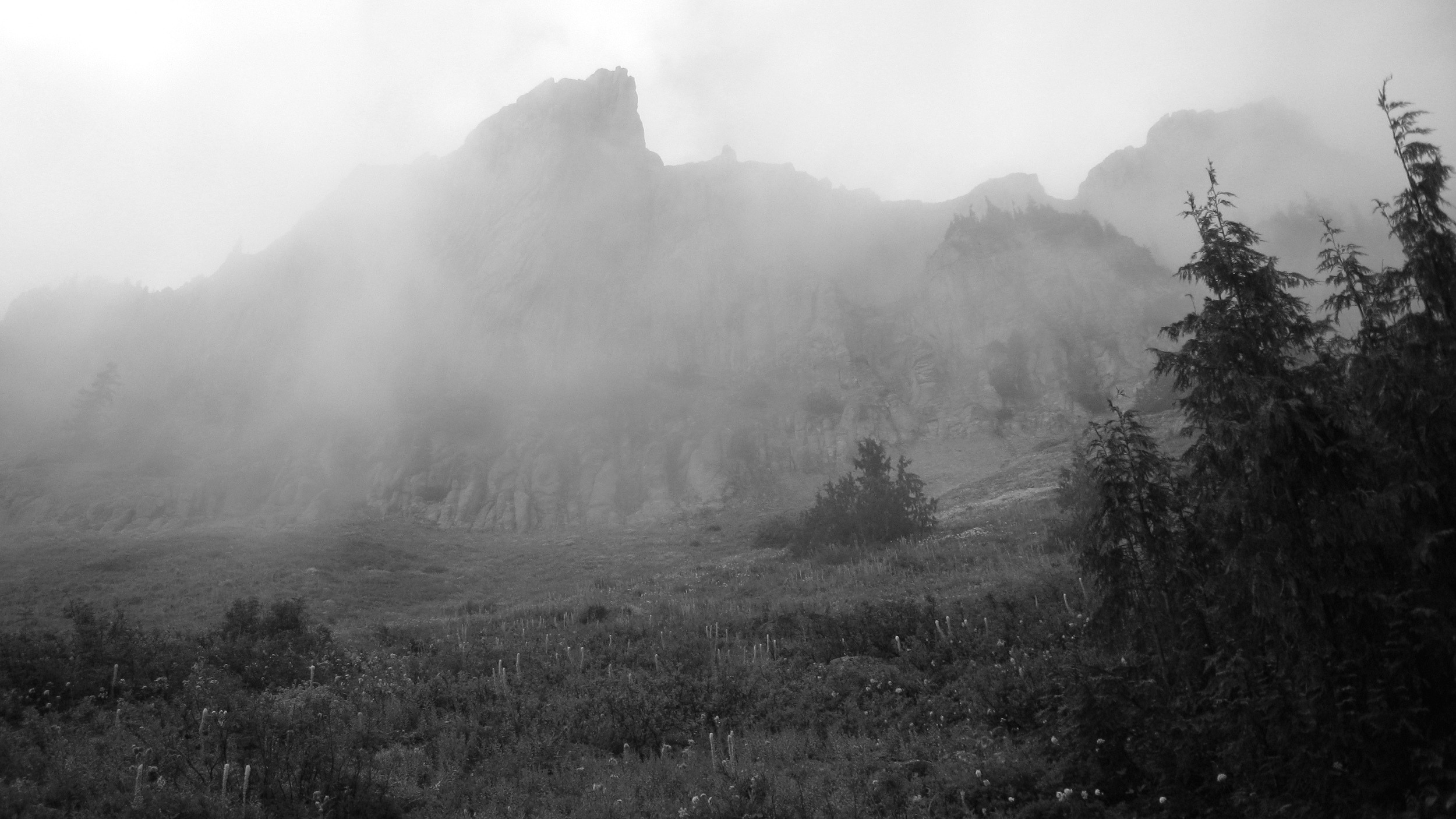 Yellowstone Cliffs in the mist