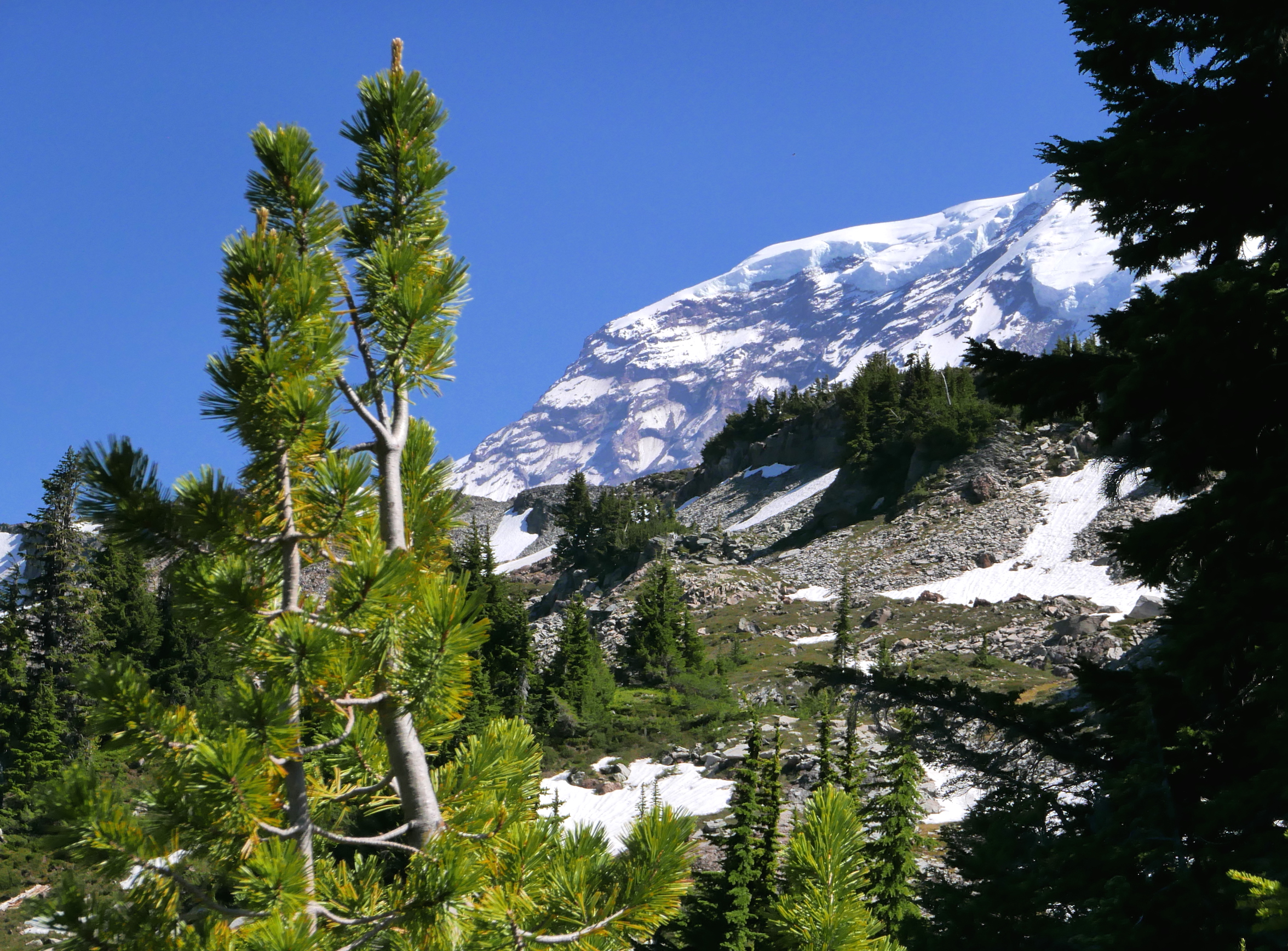 upper Seattle Park (Mother Mountain Orbit)