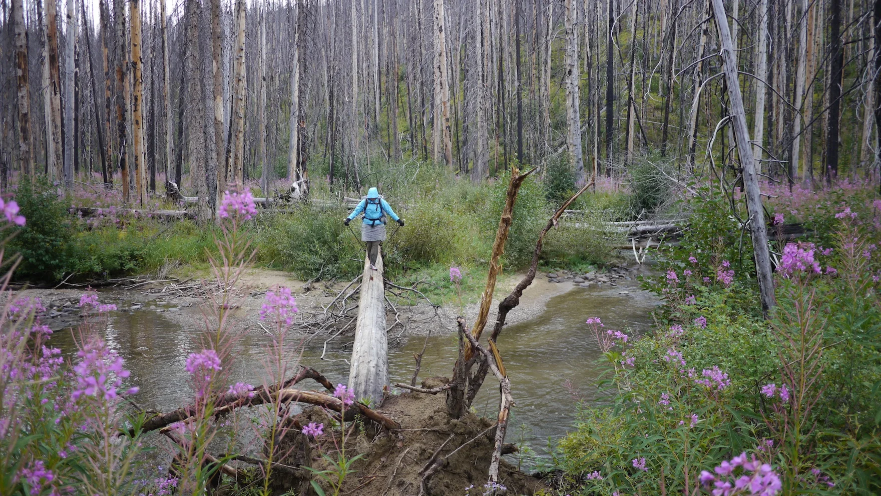 crossing East fork of the Pasayten River