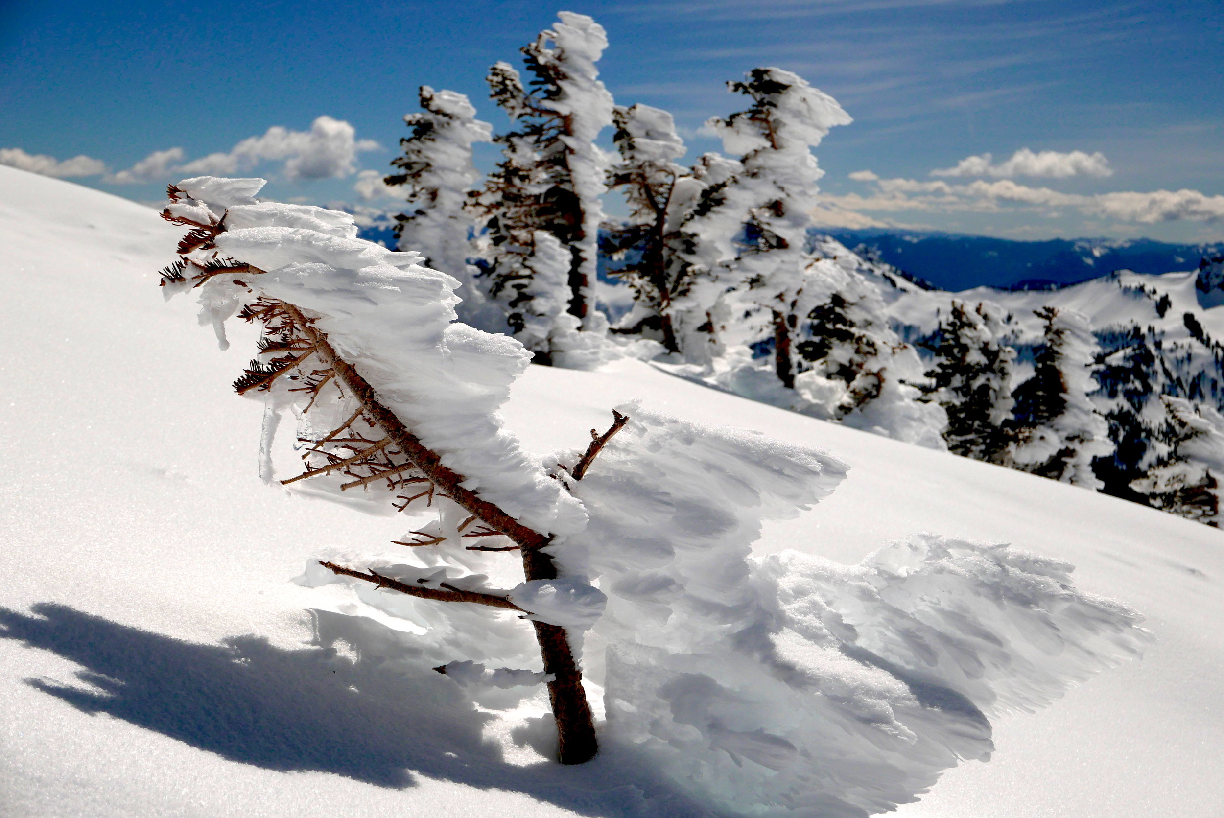 signs of recent weather at 7000' on Mt. Rainier