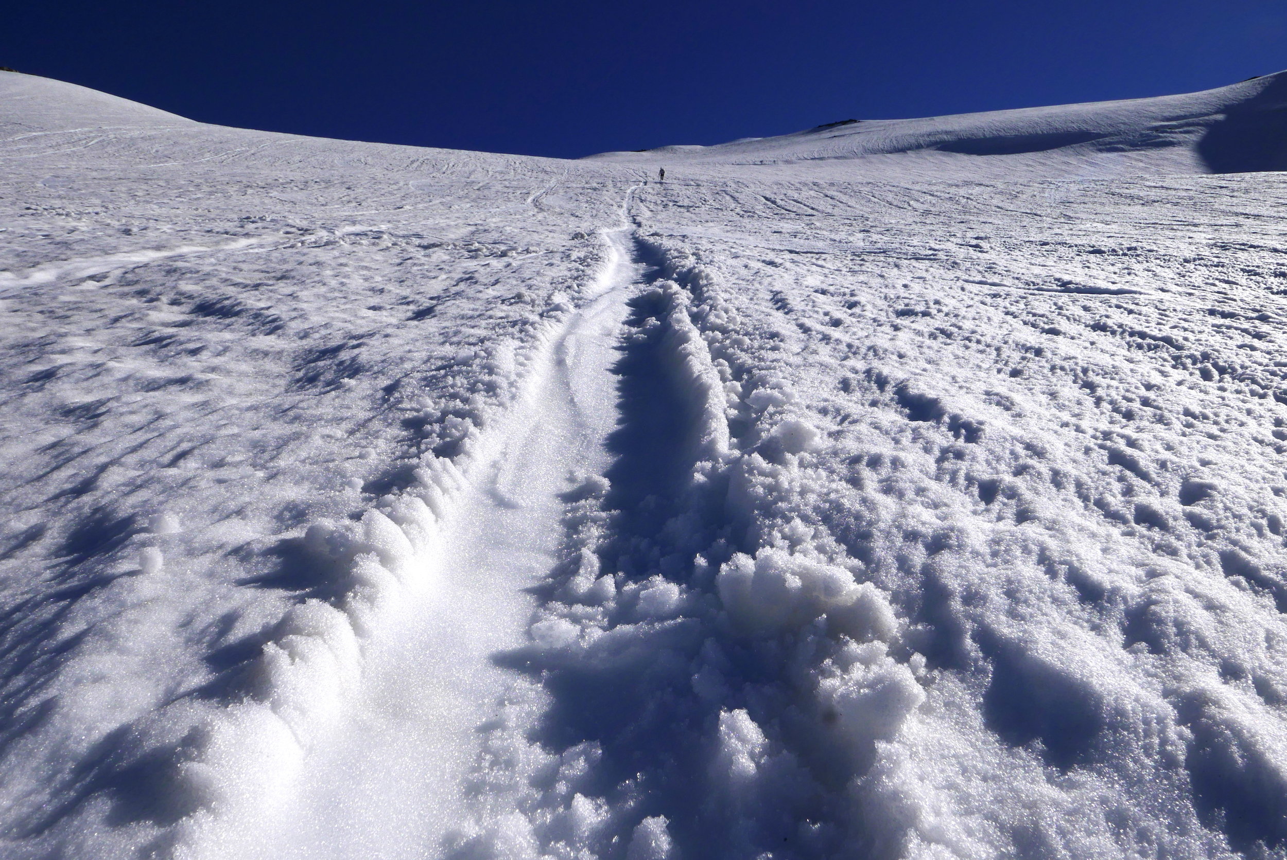 fresh glissade track on the Inter glacier