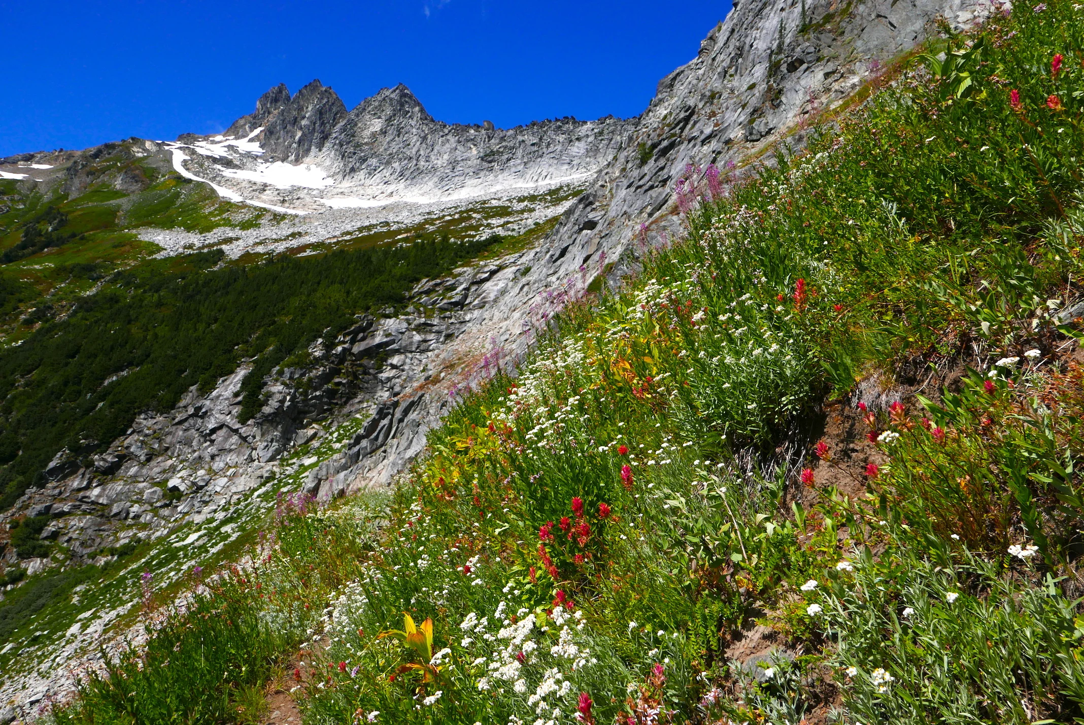 the climb to Boulder Pass