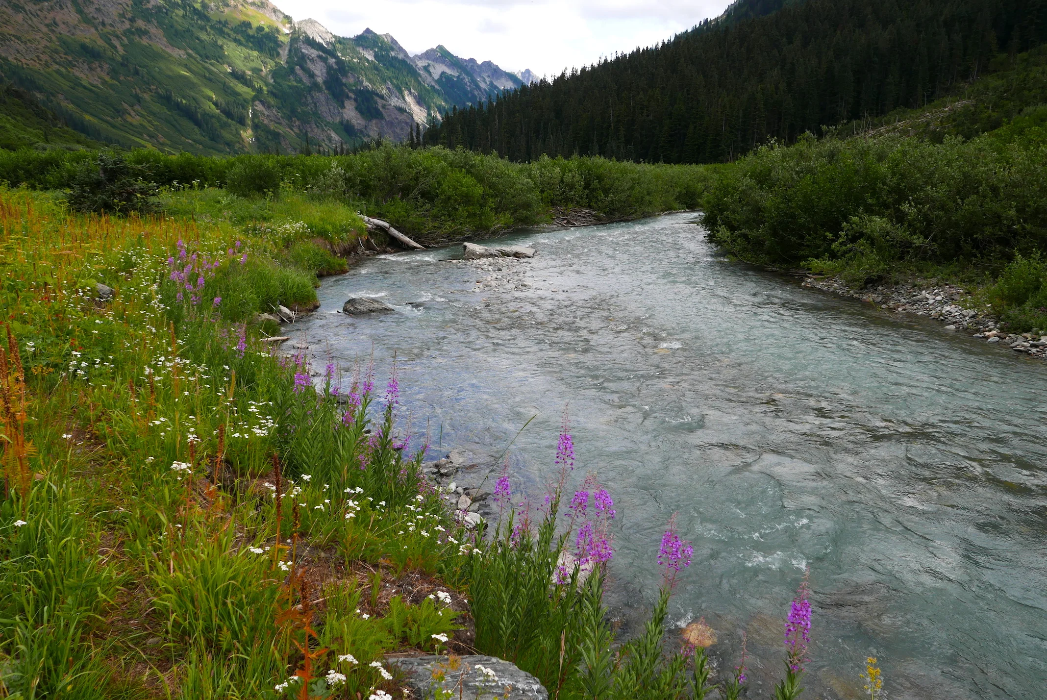 the verdant Napeequa Valley