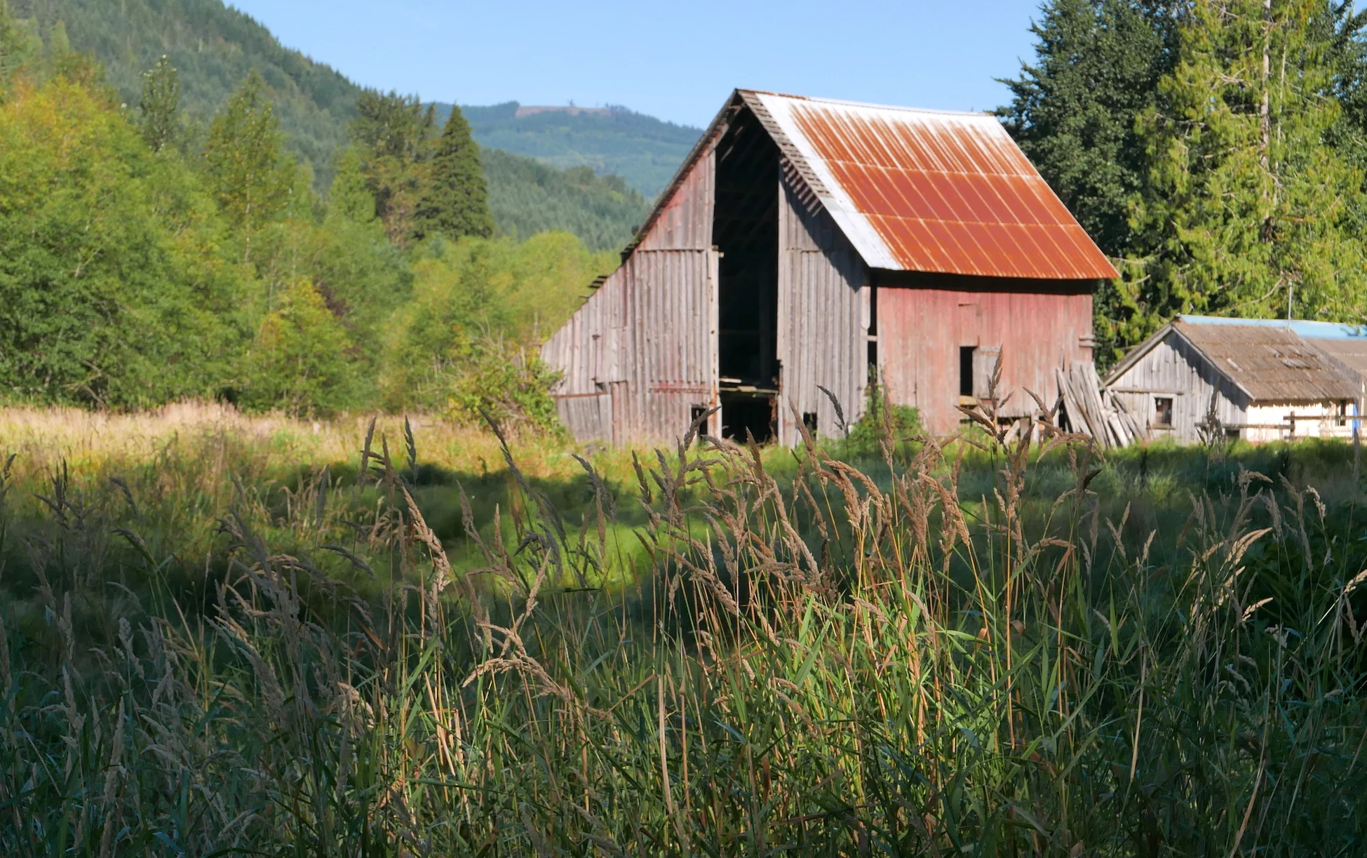Delights along the road during the 58 mile bike section, Mt. Baker orbit