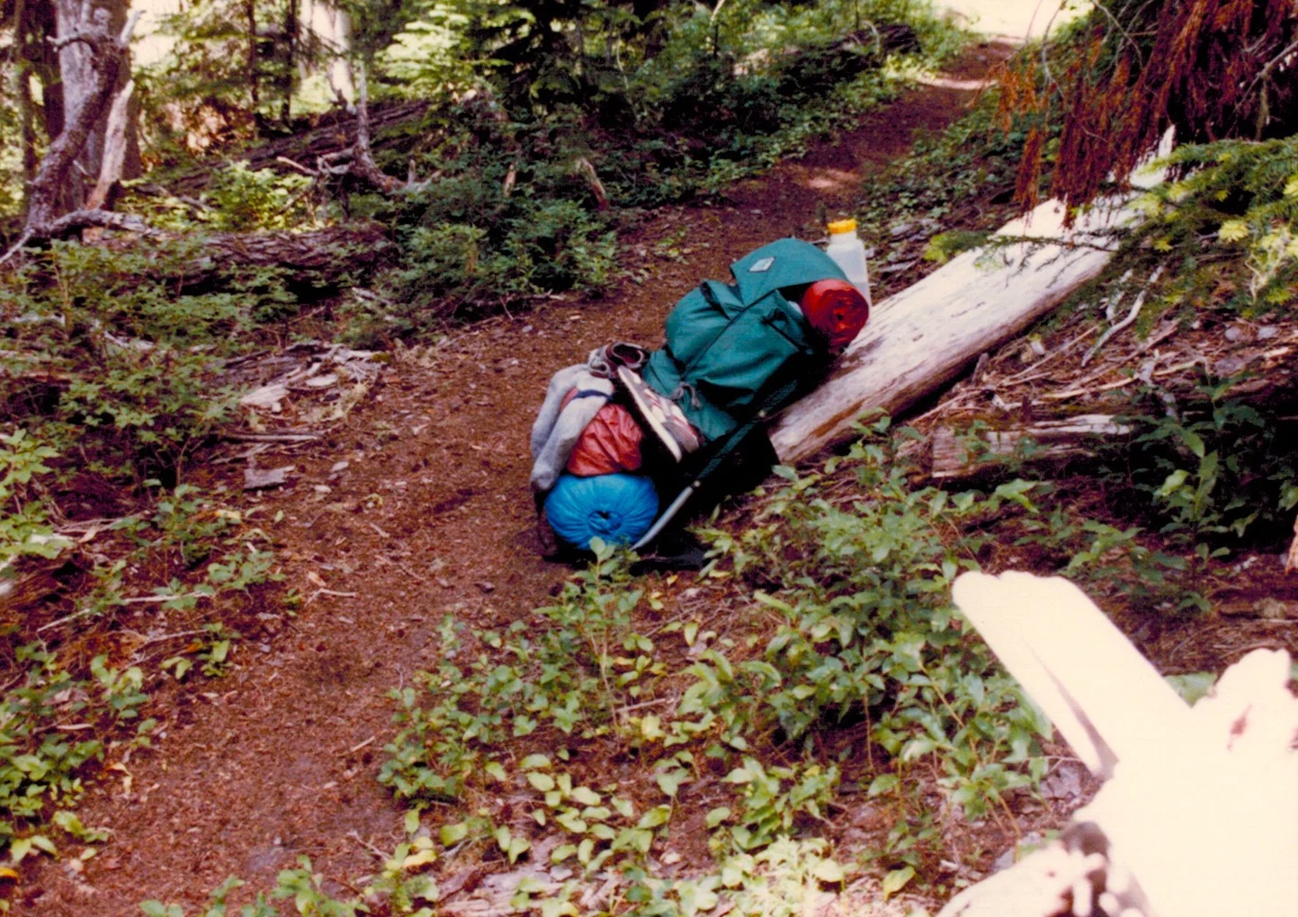 50 lb pack on the Wonderland, 1987