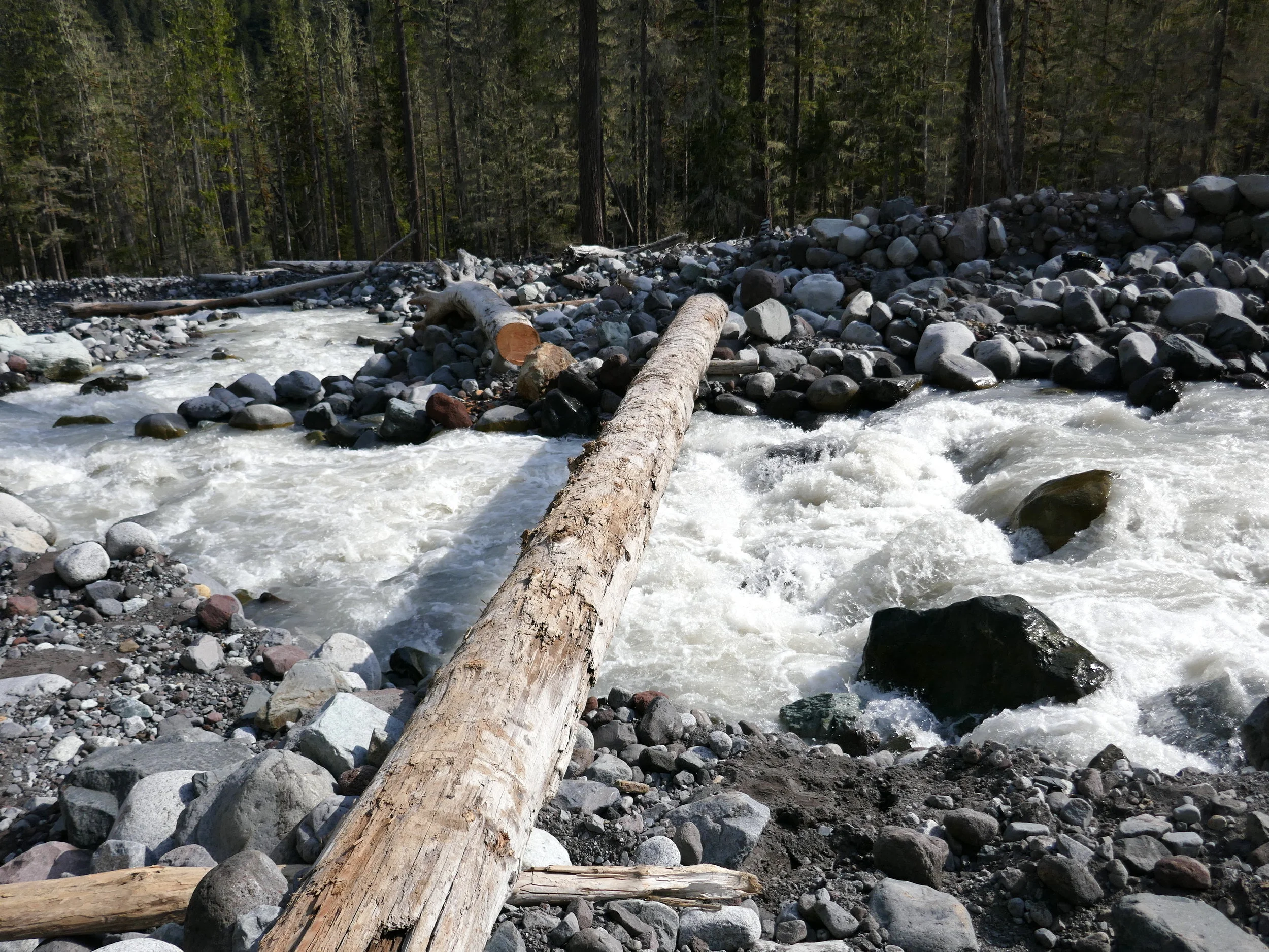 Log bridge over the Lower Carbon River crossing