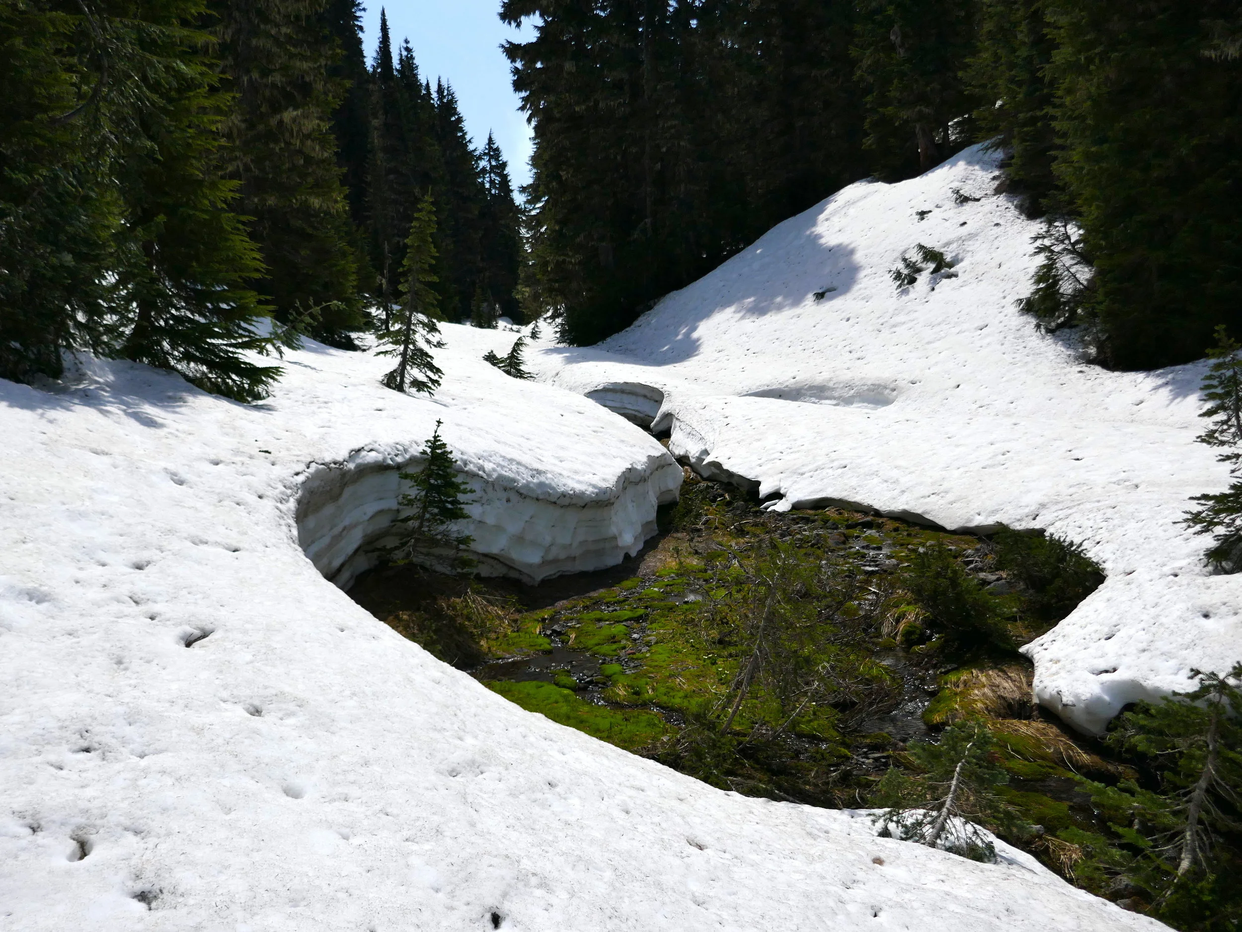 Moraine Park sporting good snow coverage on June 6, 2018