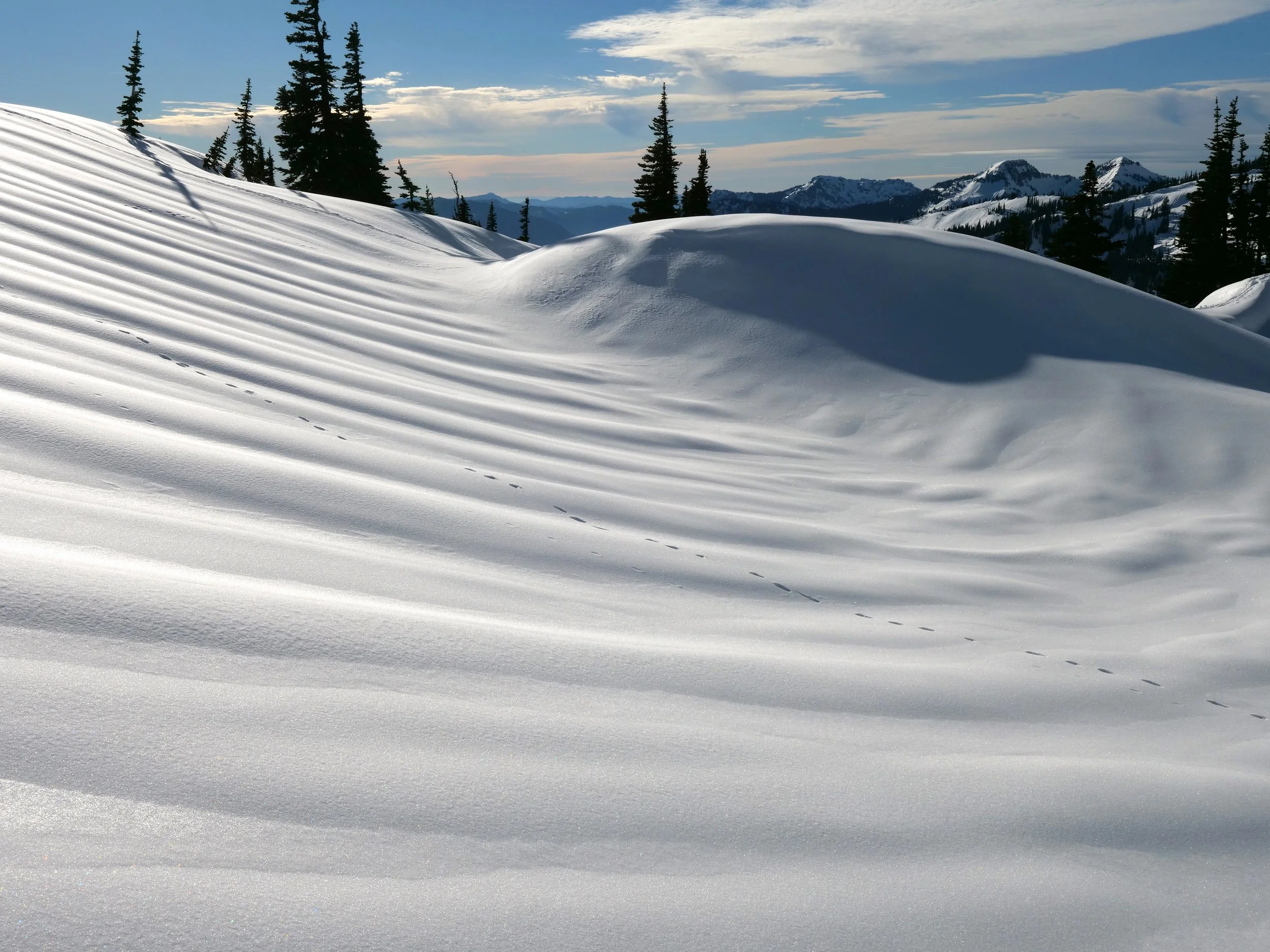 Tracks in the winter playground of Paradise.