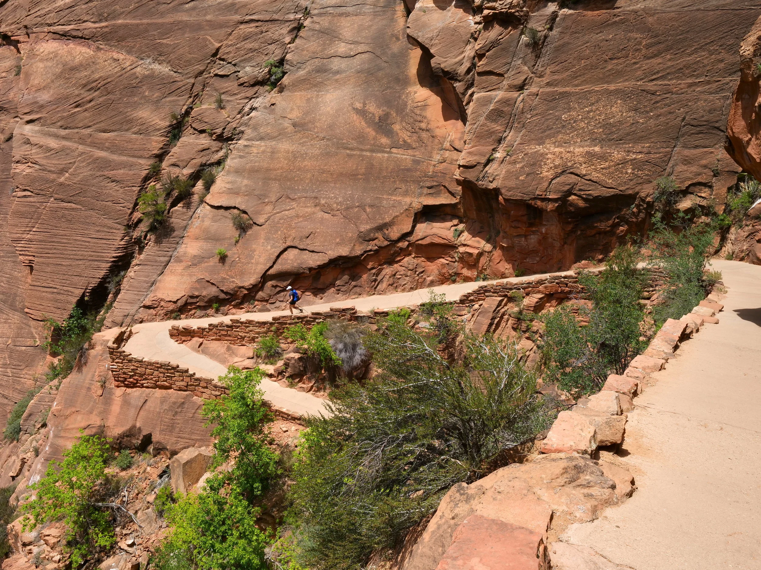 Descending "Walter's Wiggles" (Zion)