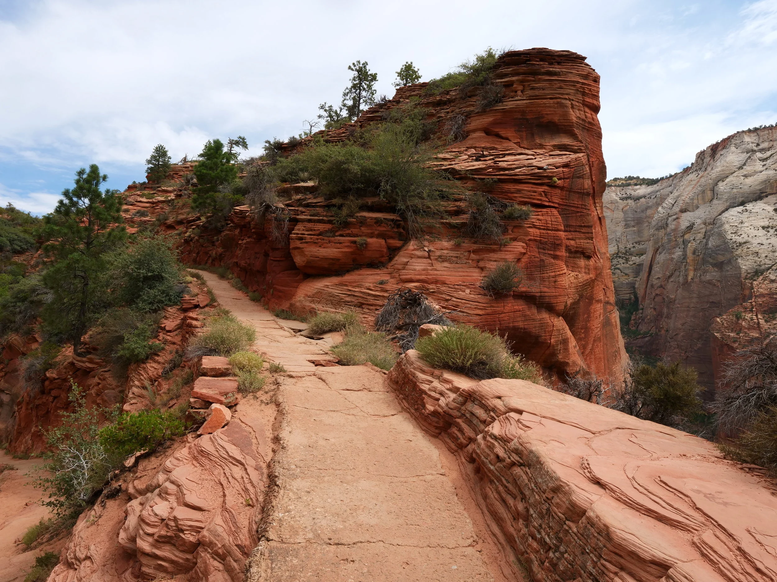 On the West Rim trail