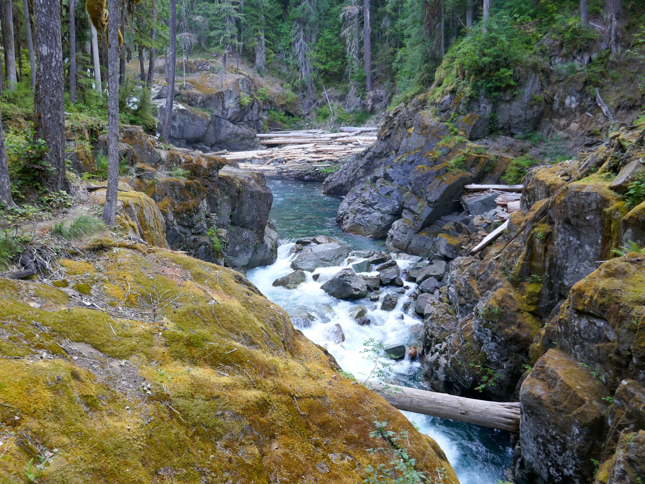 Silver Falls trail, part of the East Eastern Loop
