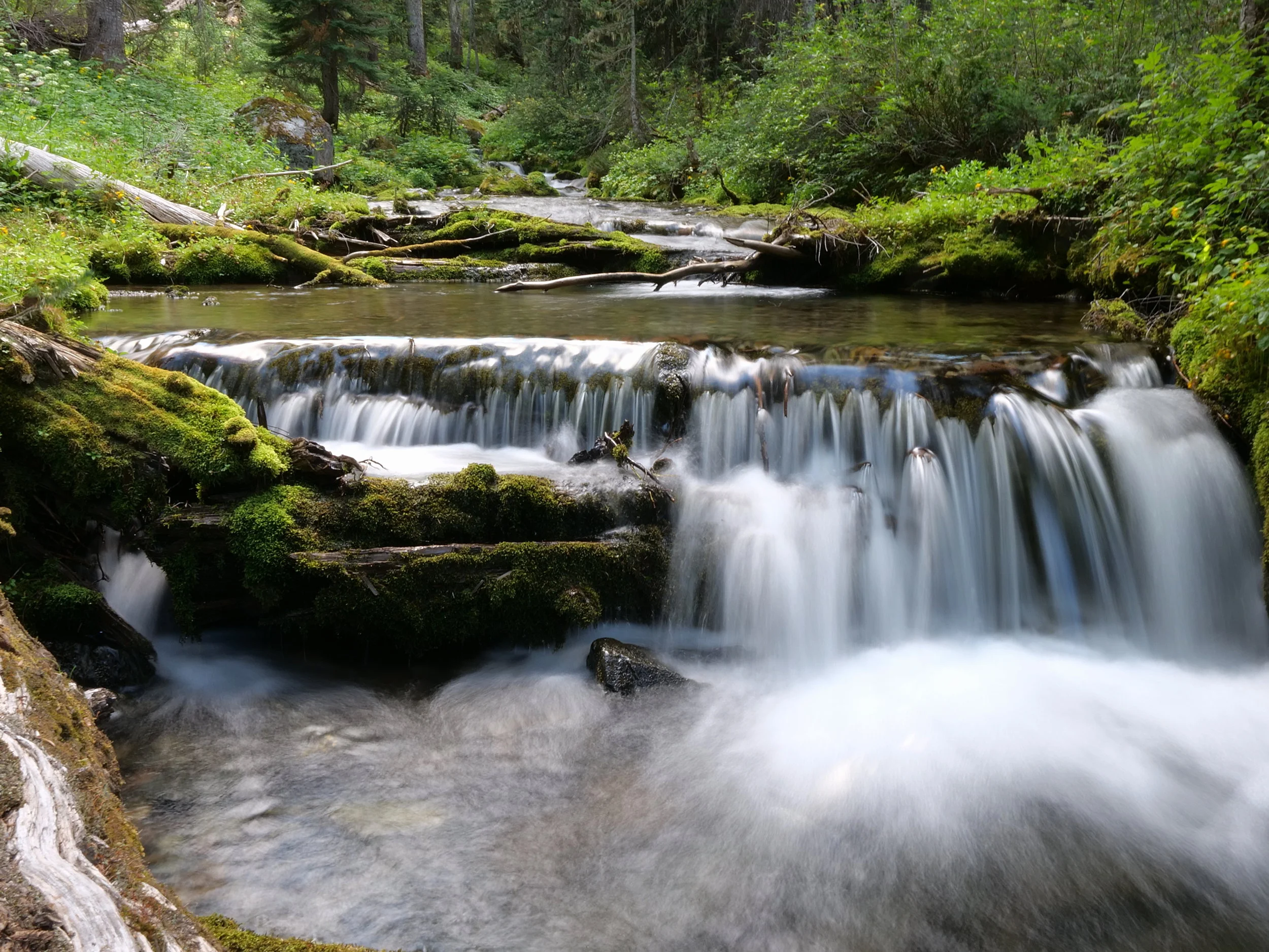 A waterfall on Lodi Creek, approaching Berkeley Park