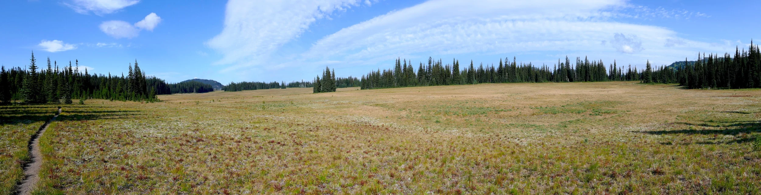 Pano of the expanse of Grand Park