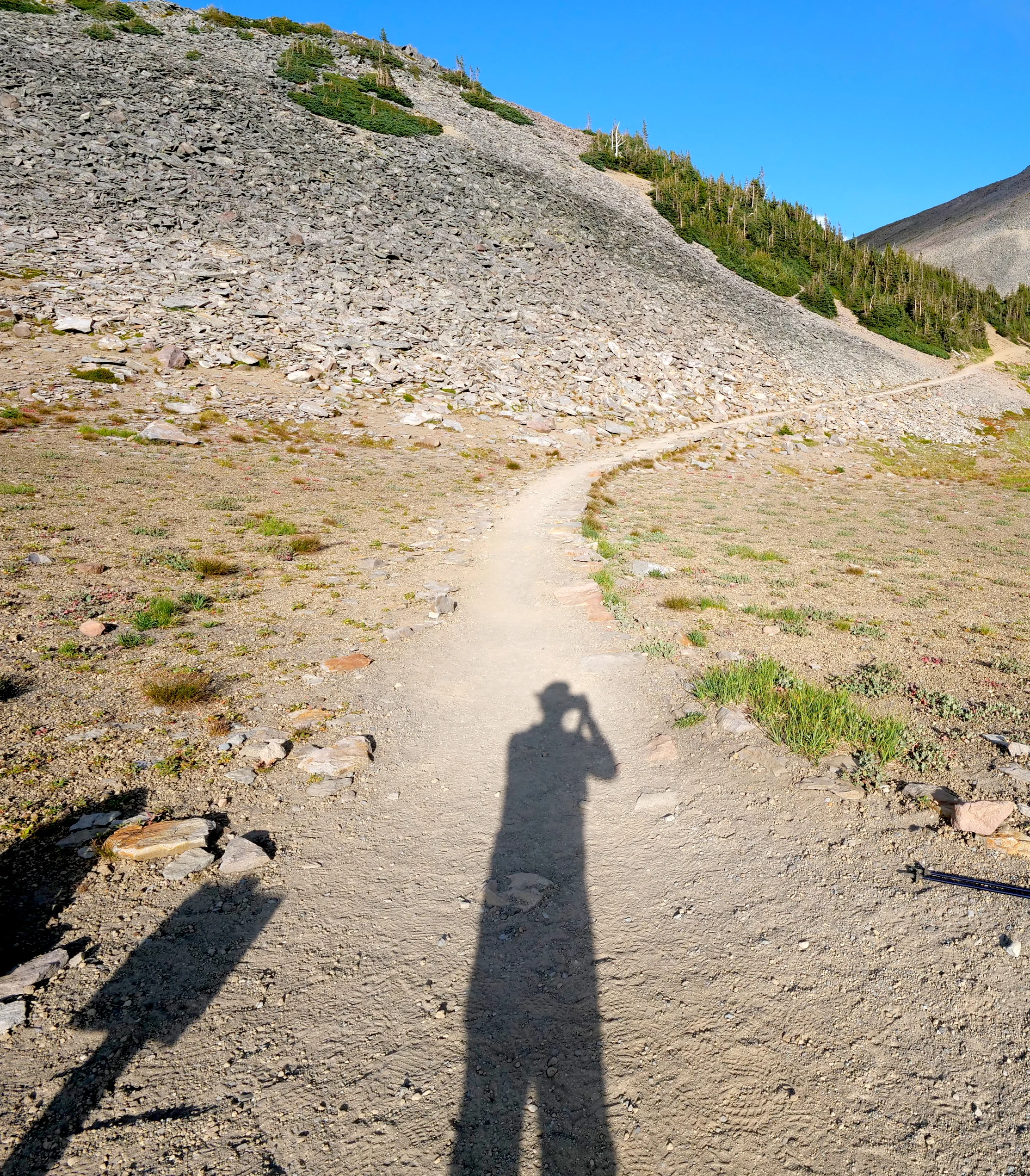 Late afternoon sun casts long shadows on the trail approaching Sunrise
