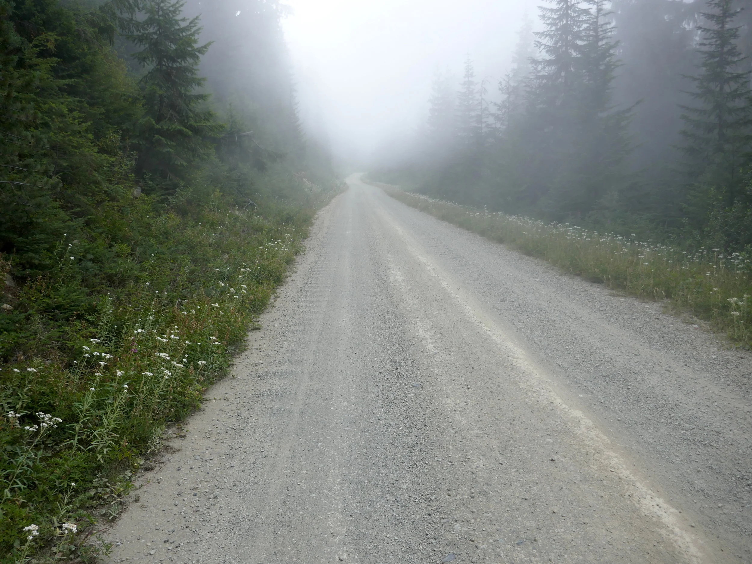 The not unpleasant walk up FS 73 to connect northern trails on the loop