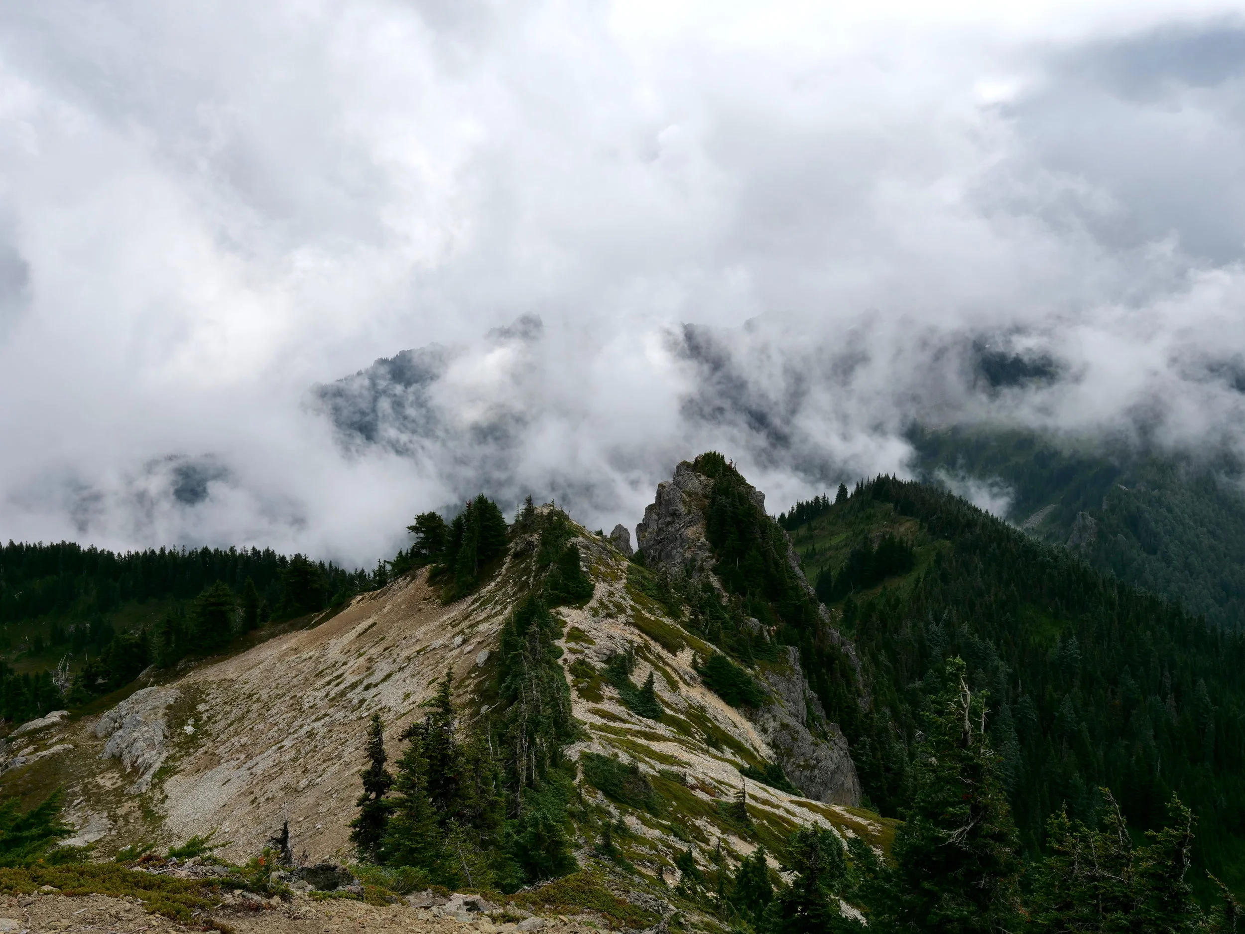 Looking east from Tolmie Peak