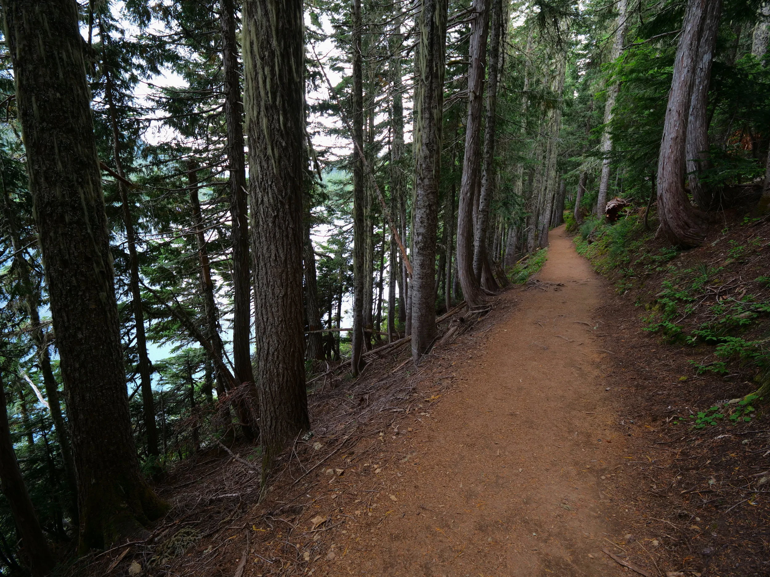 Wonderland Trail next to Mowich Lake