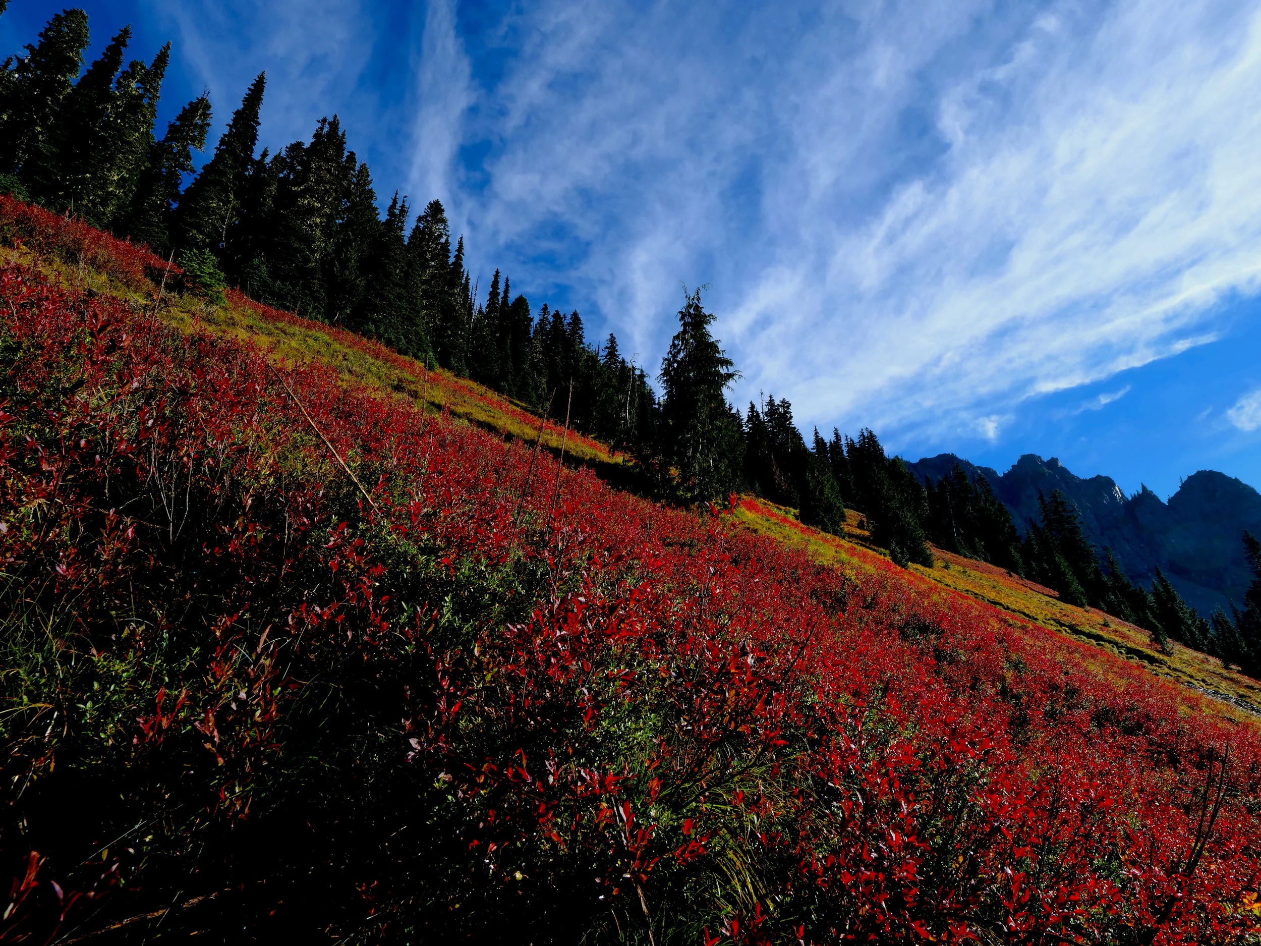 Clear skies and fall colors on the Eagle Peak trail