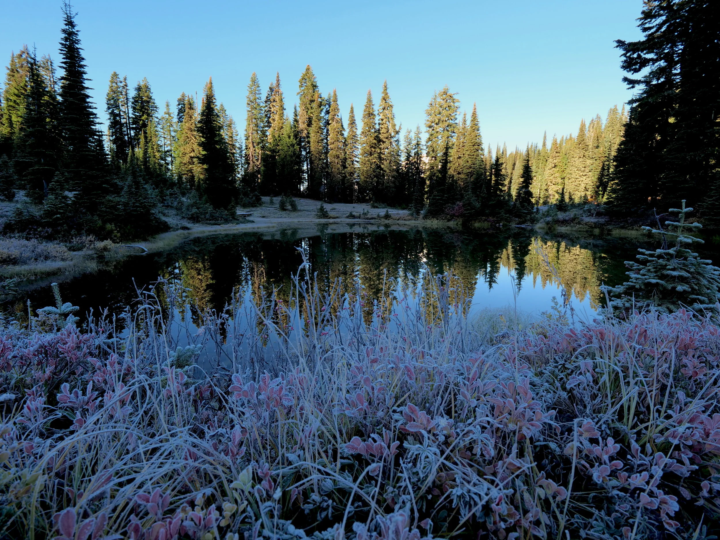 A frosty Tipsoo Lake in early morning, Chinook Pass