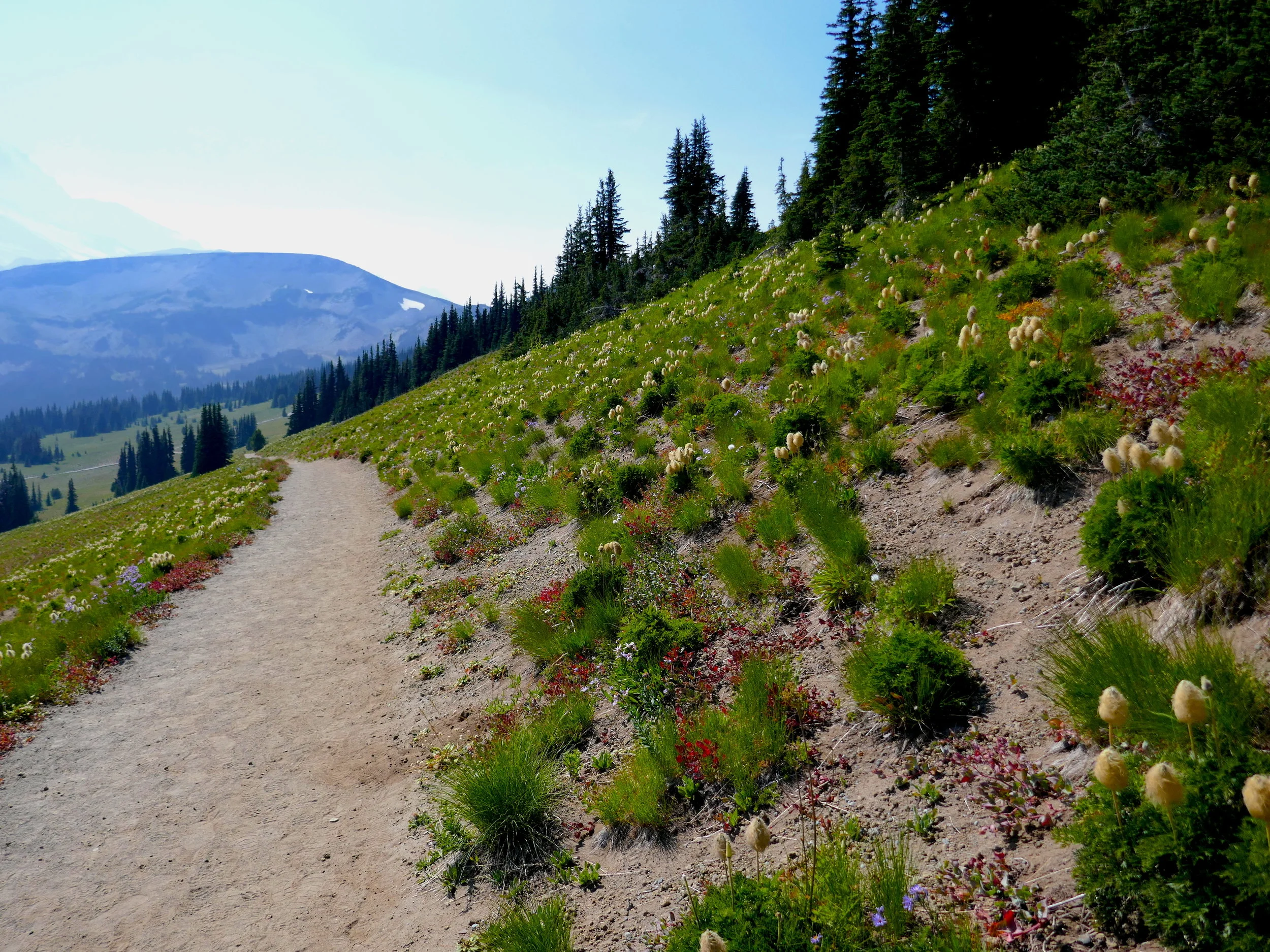 Sourdough Ridge Trail