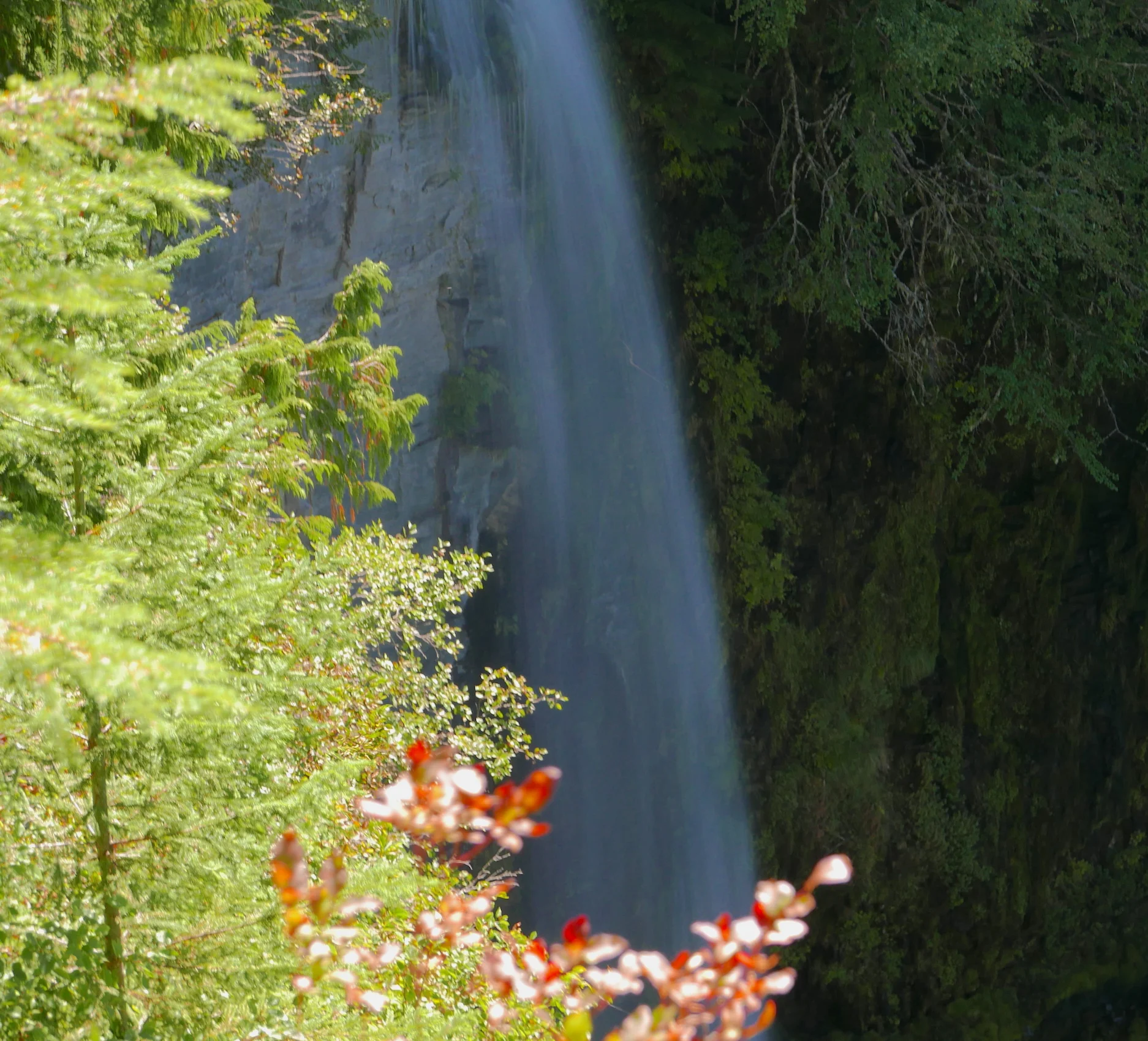 Denman Falls Trail