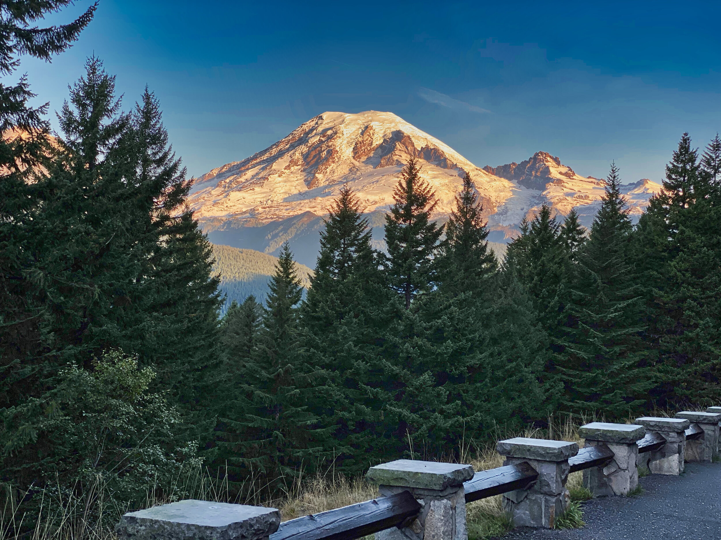 Morning light on Mt. Rainier from Backbone Ridge