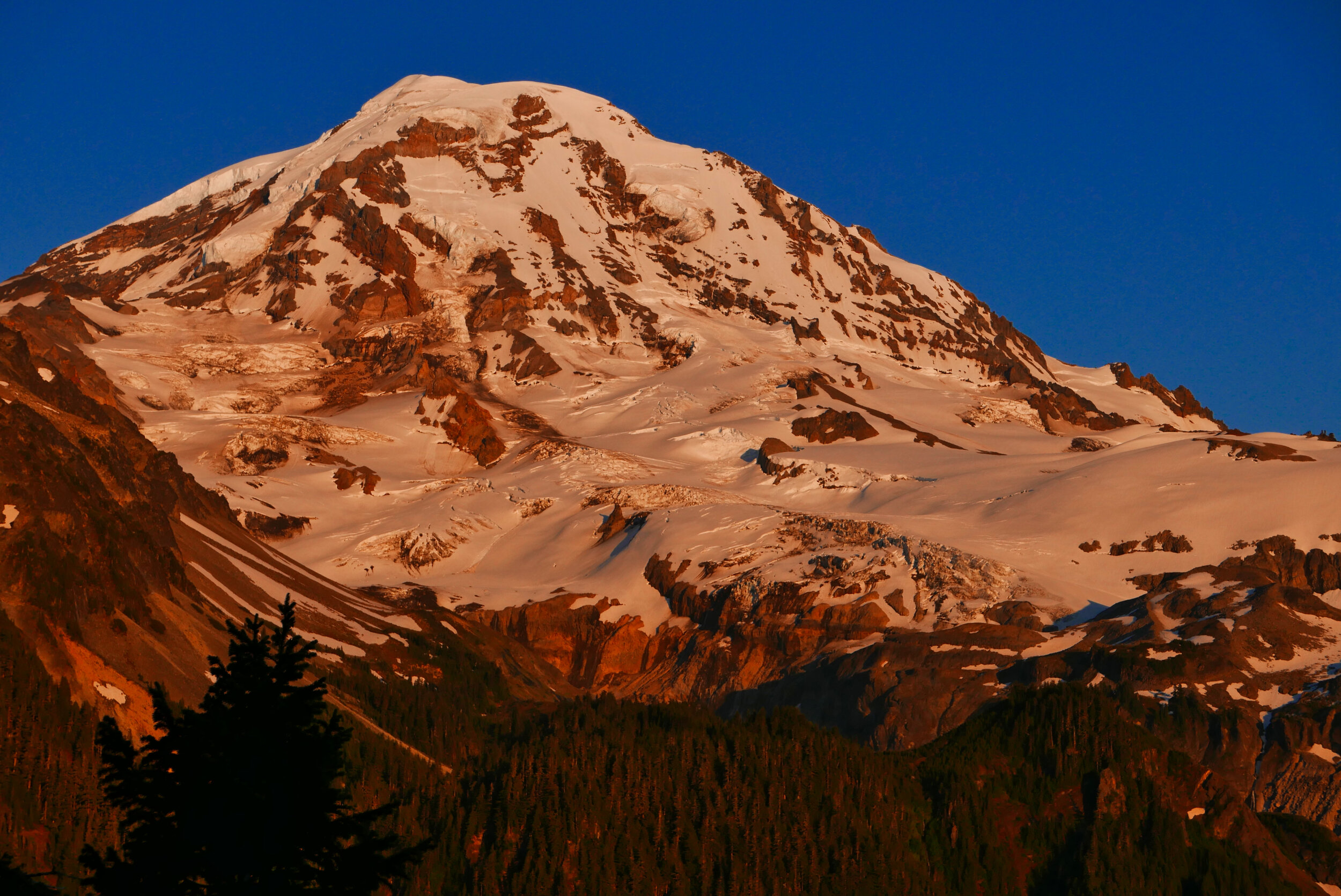 Alpenglow on Rainier