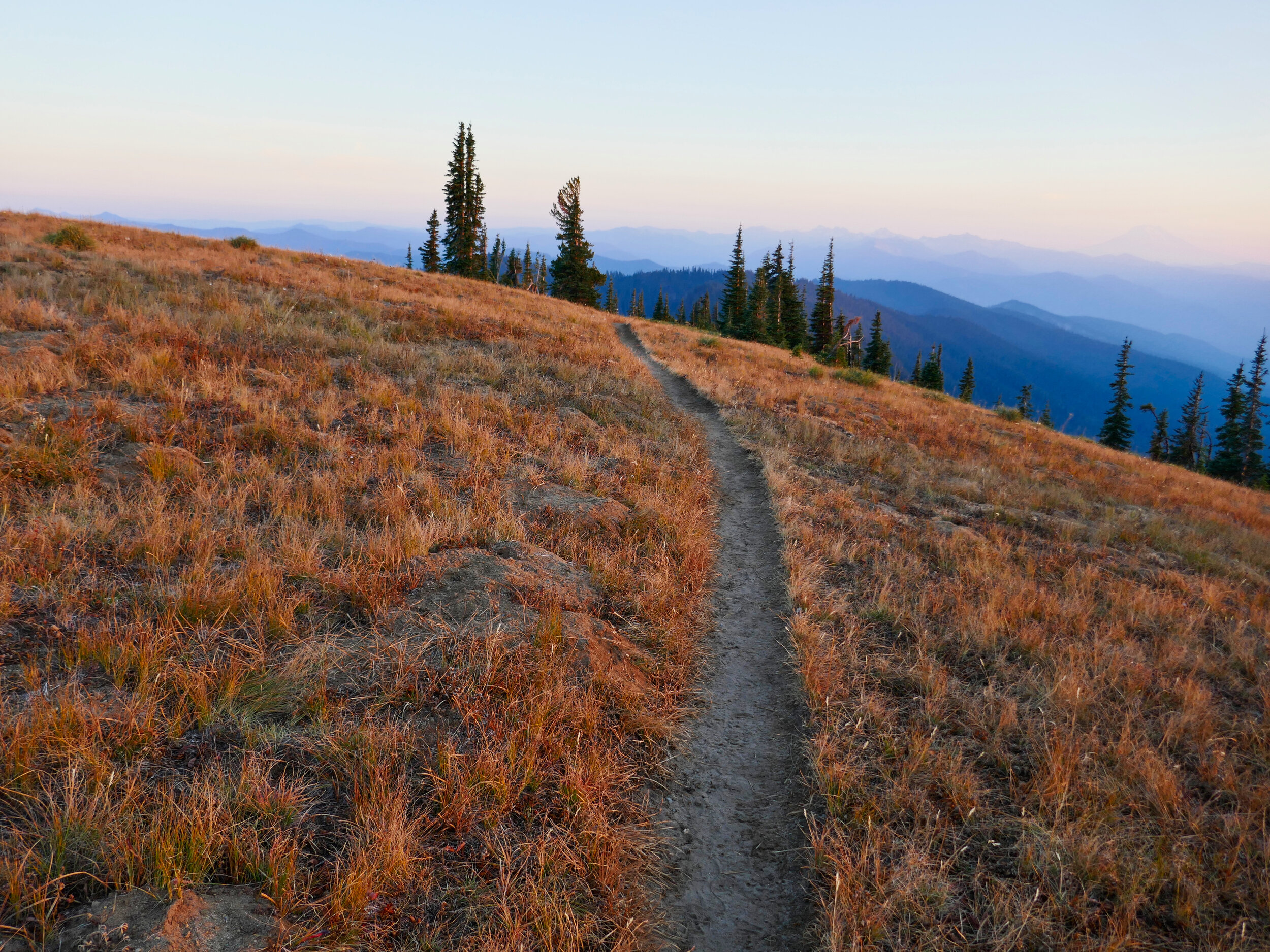 Cowlitz Divide