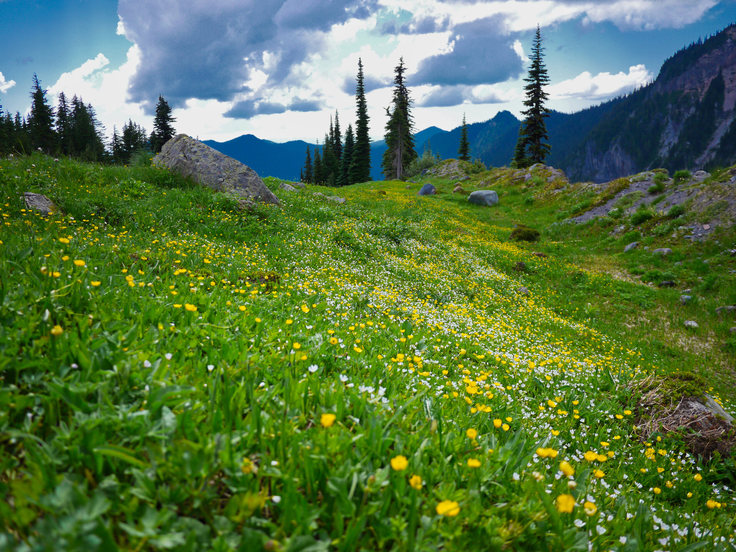 Emerald Ridge