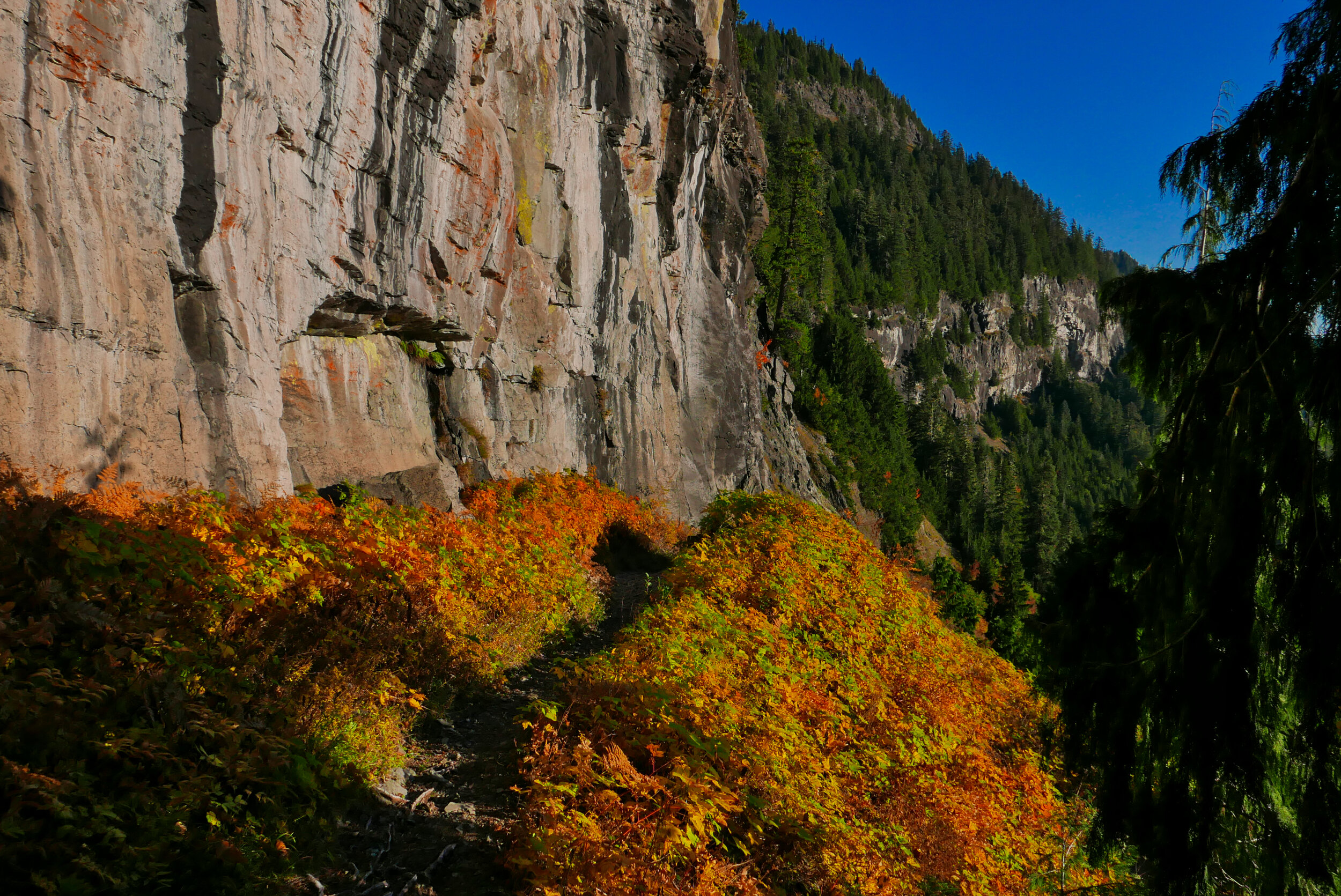 Ipsut Pass