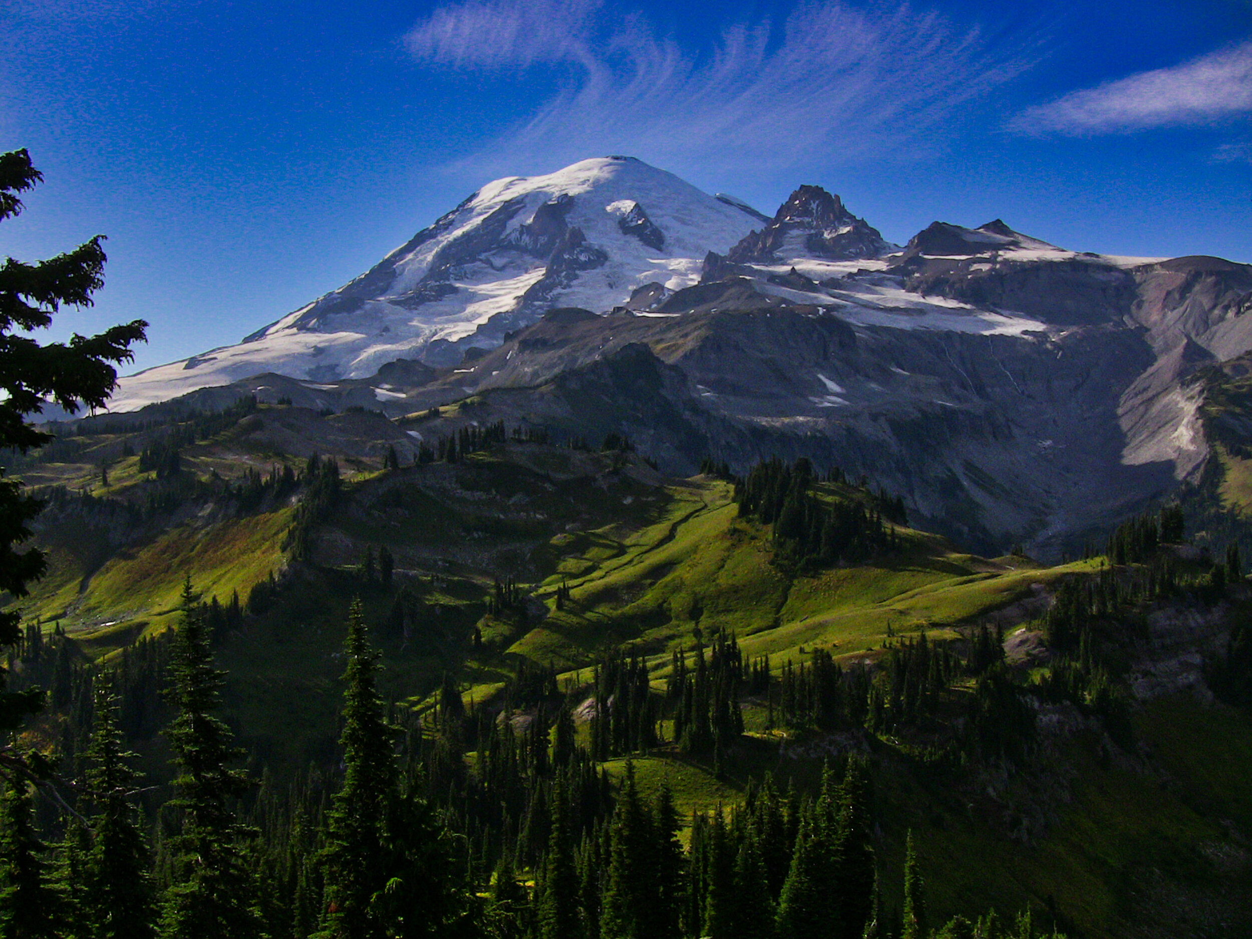 Mt. Rainier
