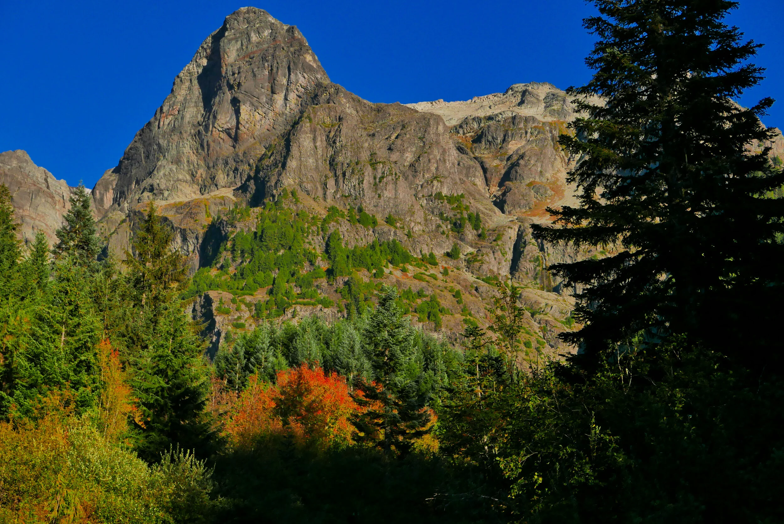 North Puyallup formations